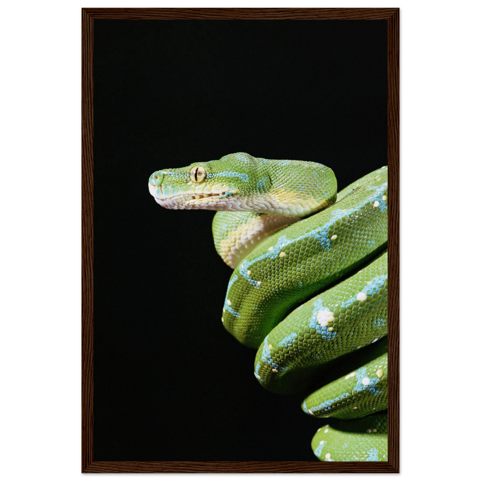 12707f26-2b00-46f1-b43d-3656898d1b8d