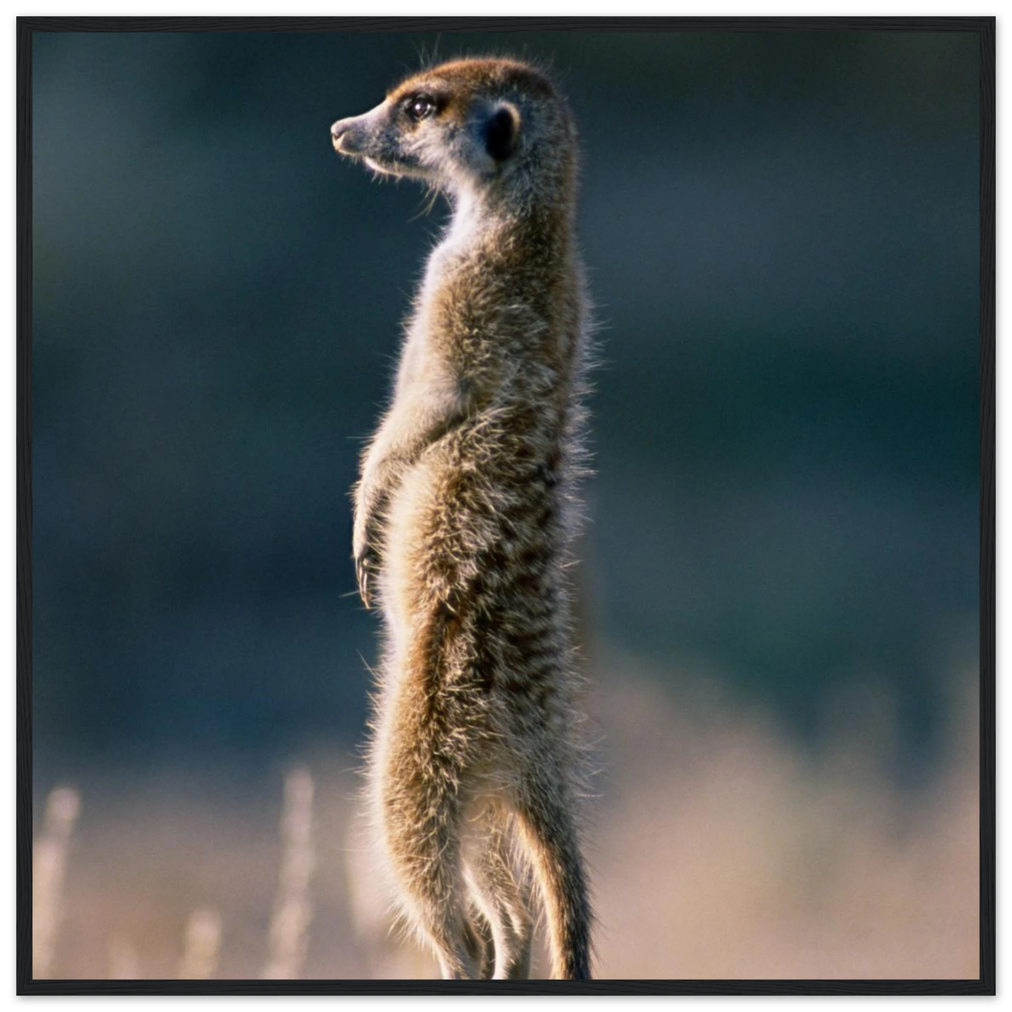 127a59e4-99c0-48d4-917b-e26c973aafa7