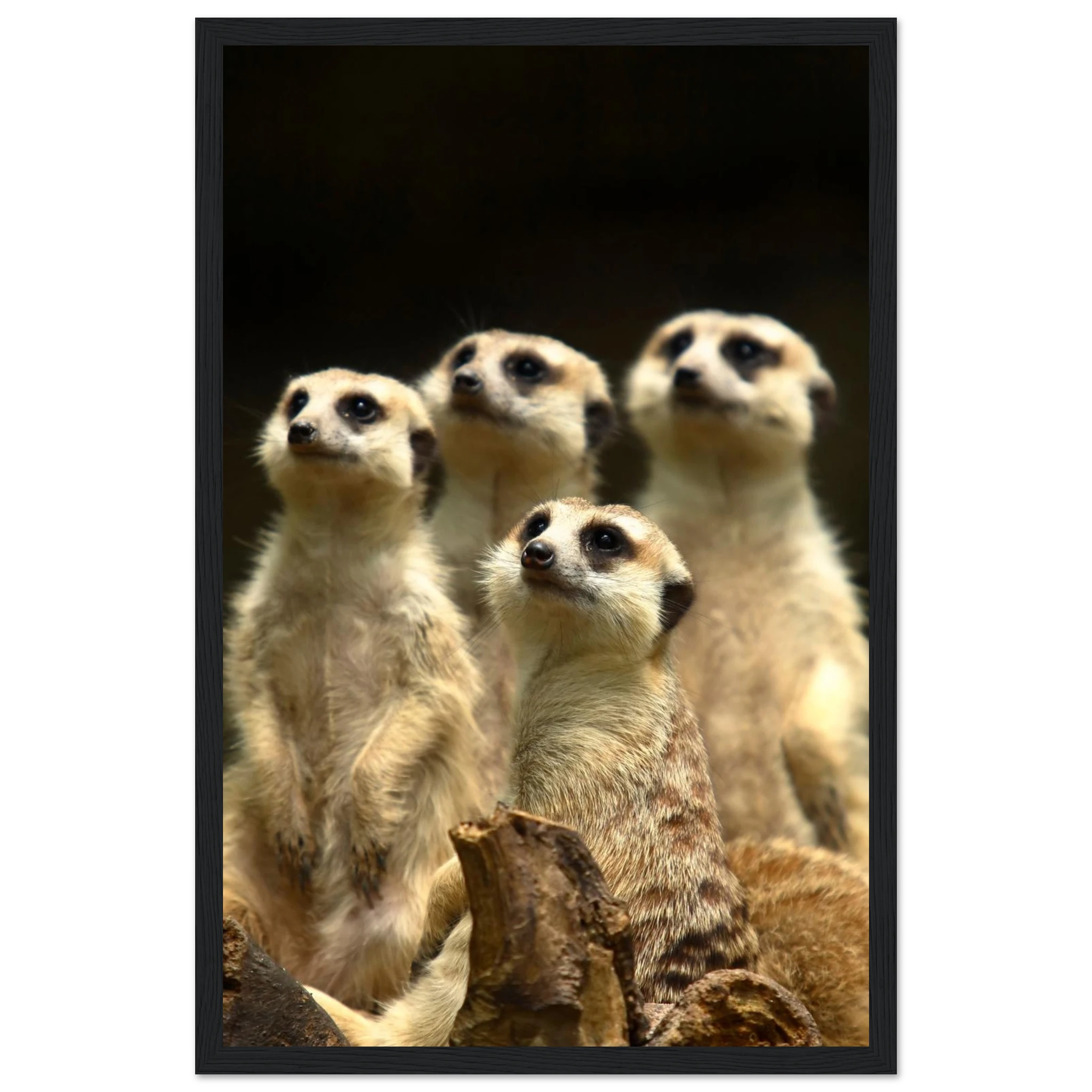 12947973-c94d-4022-911e-68e102c7926c