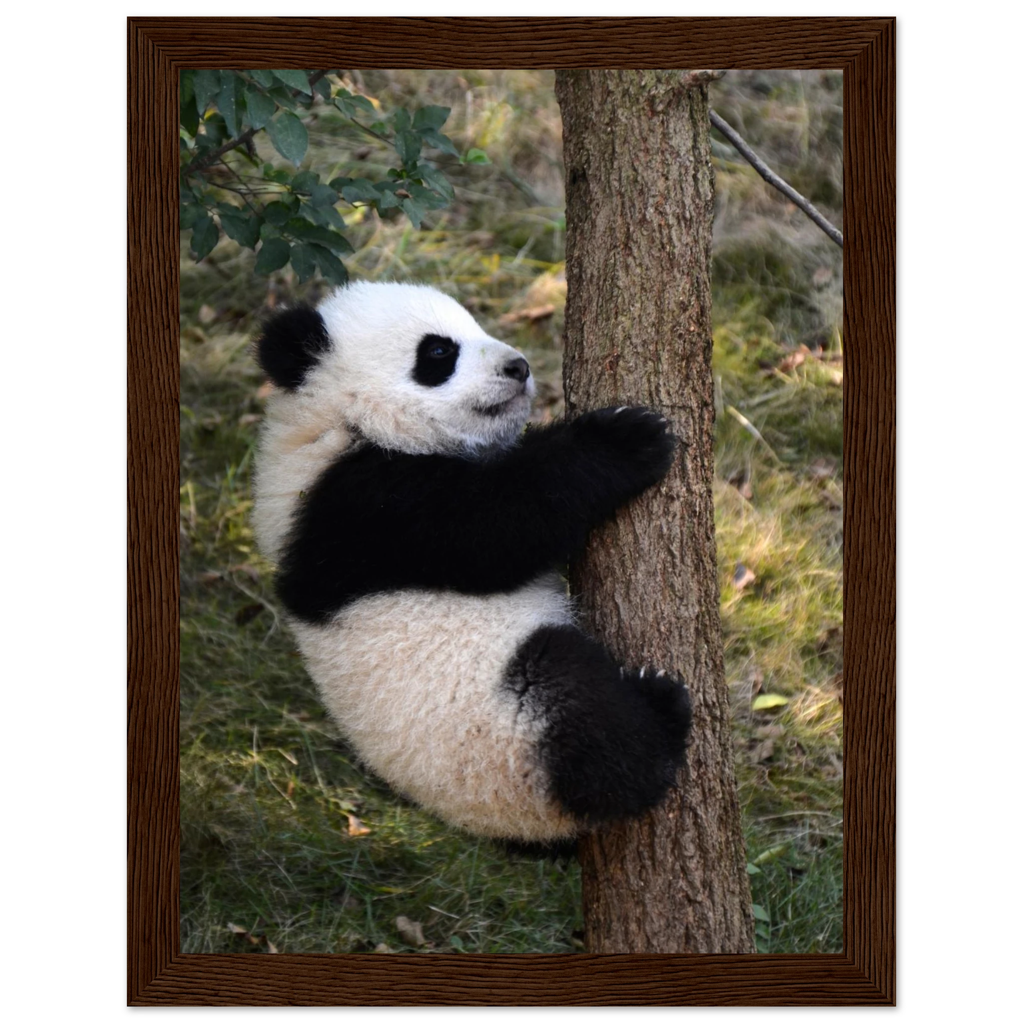 12c61a38-c0f8-4fa9-839a-6757121e0270