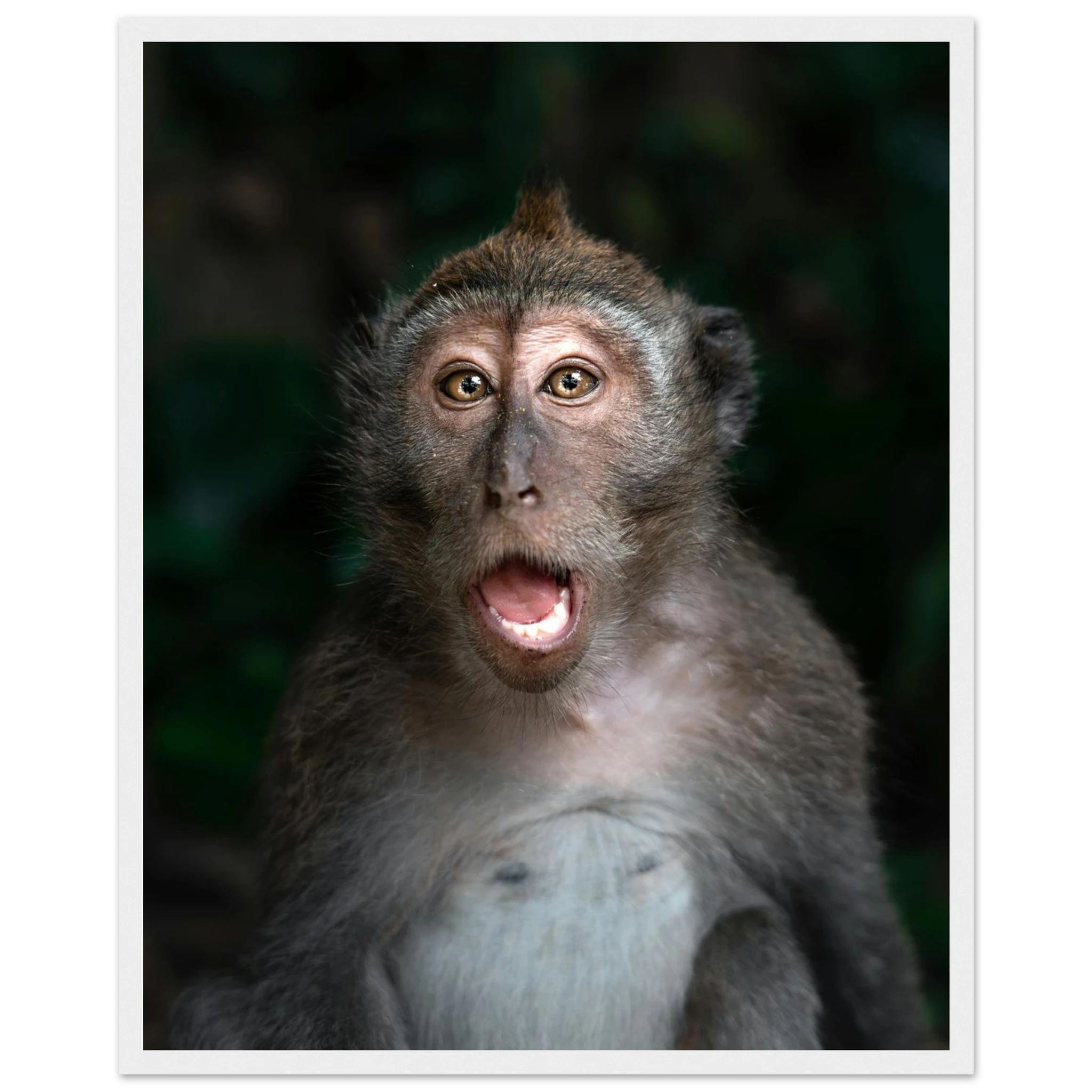 12ce1ec3-ce8a-47a3-96d2-32b7173b1067