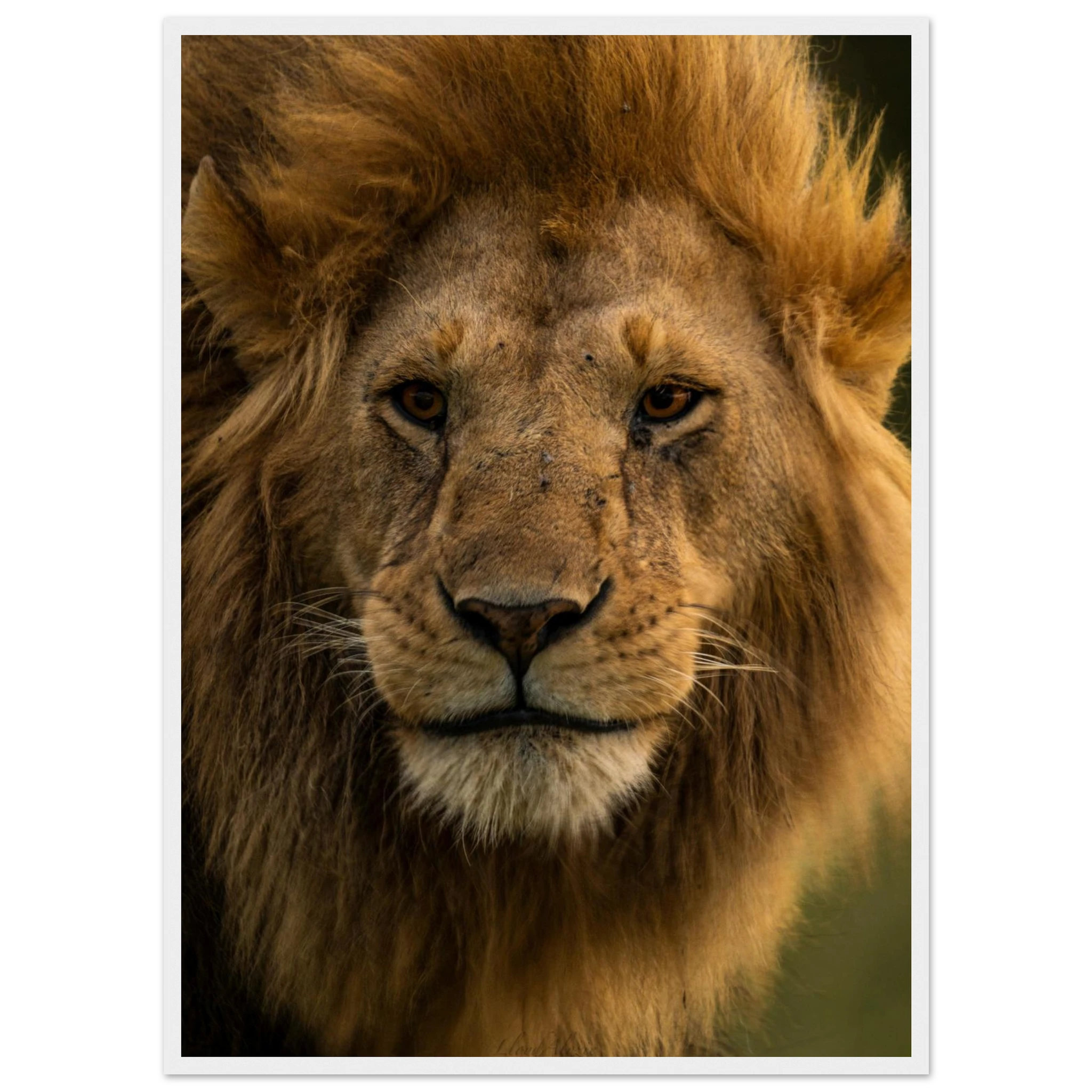 12fcfe53-a3be-4f48-846a-f6d2f02d8c52