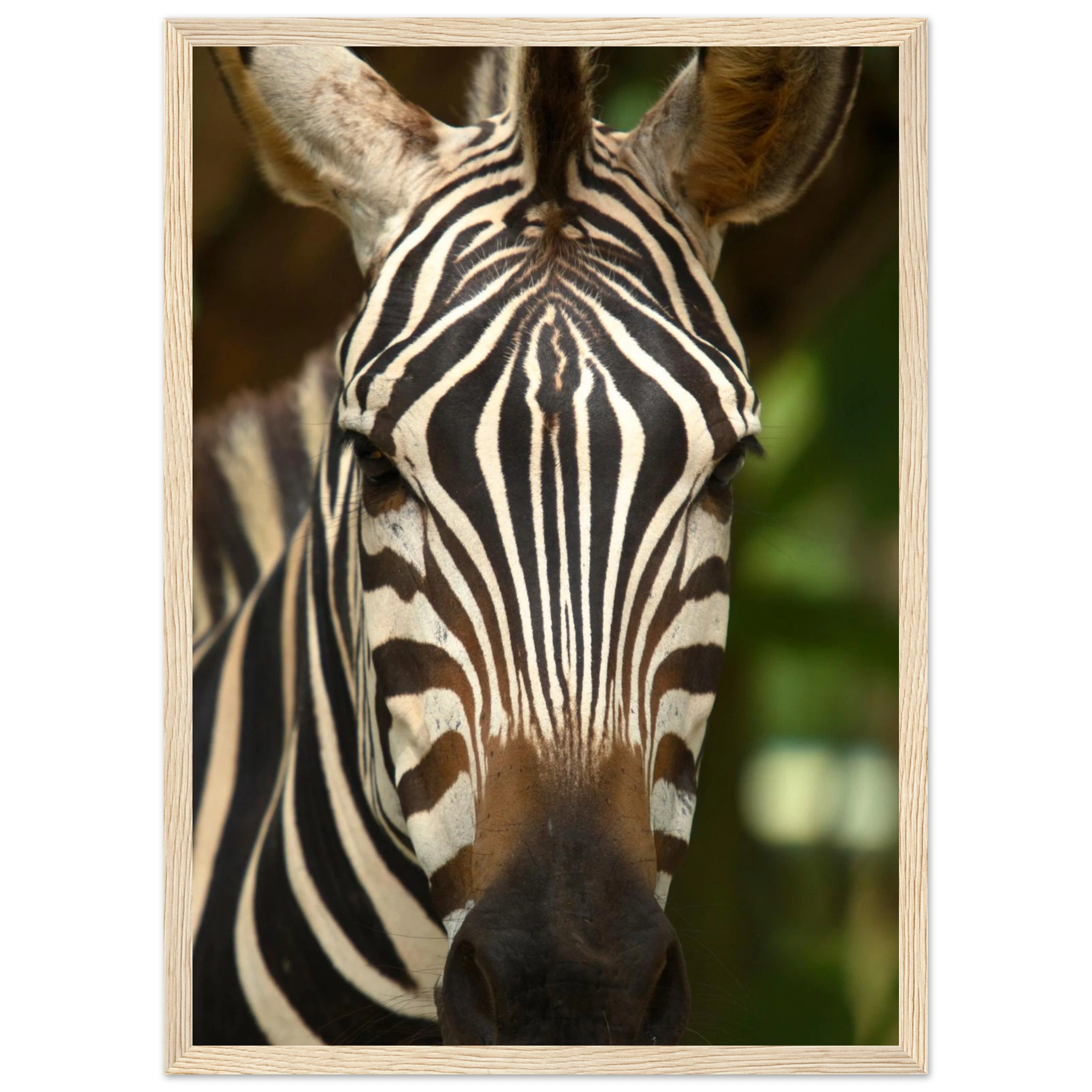 12ff1906-cb2e-4e2c-8947-c72b7b6a885c