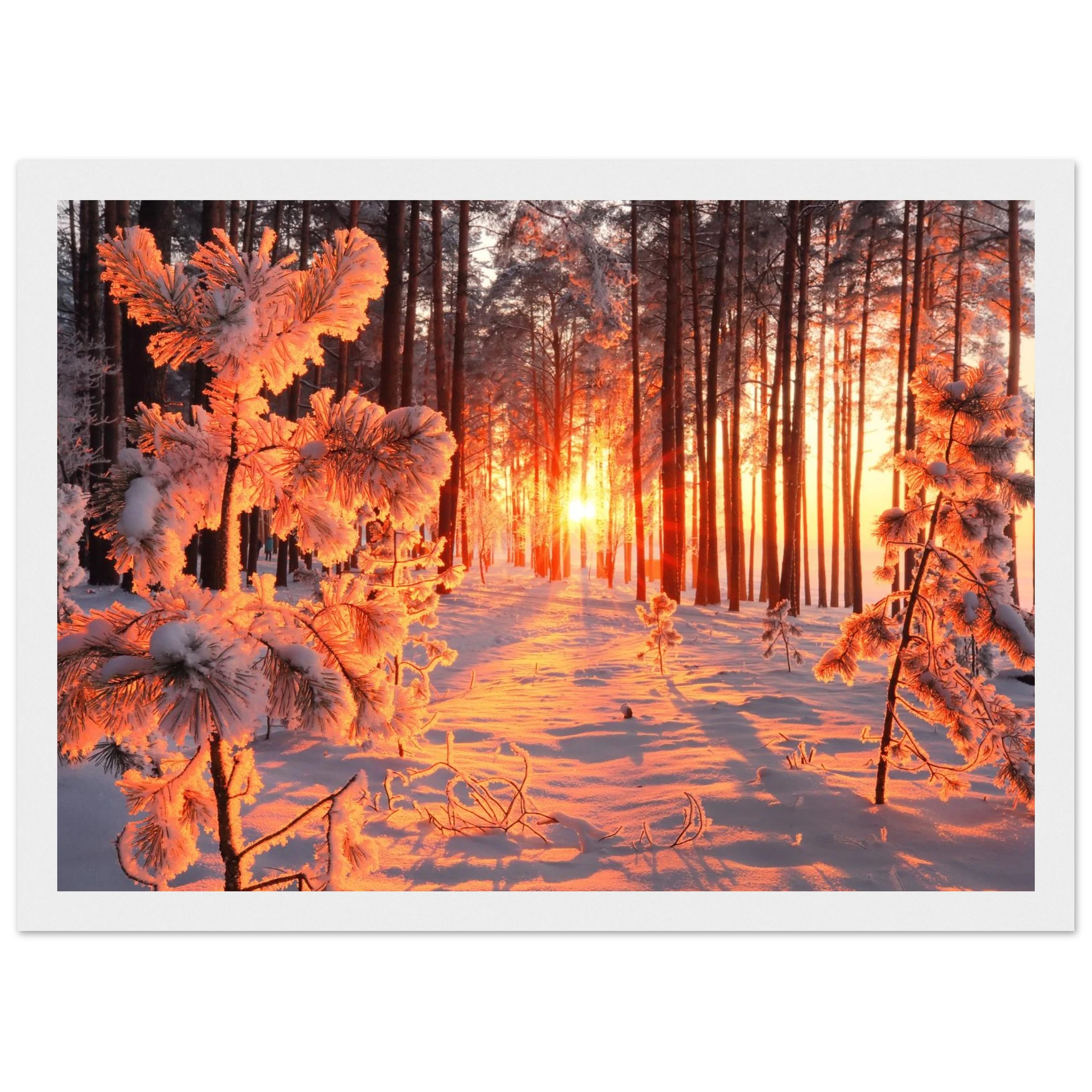 13126475-8579-4f7e-a660-9bee5725399c