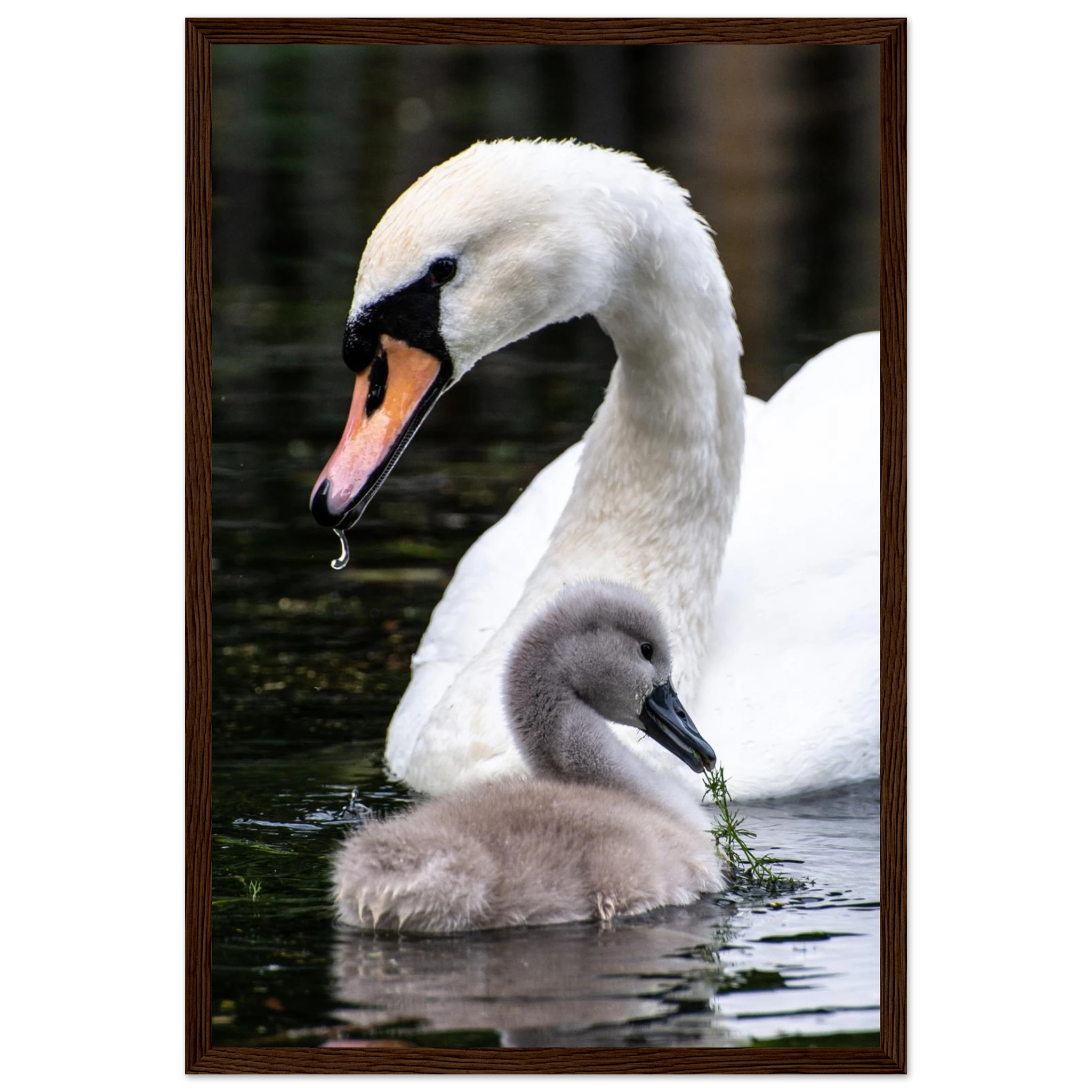 1324507f-87a7-4ce7-b402-fb5287f3d815