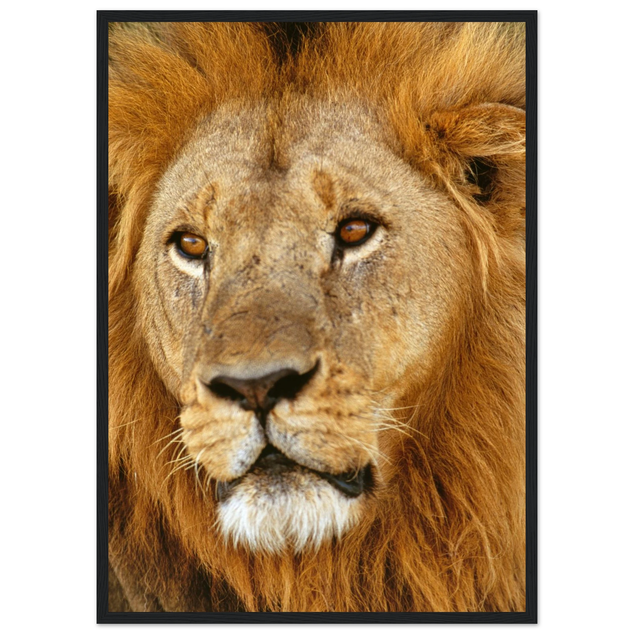 13294626-23a0-4a9d-947d-f5e3747184cf