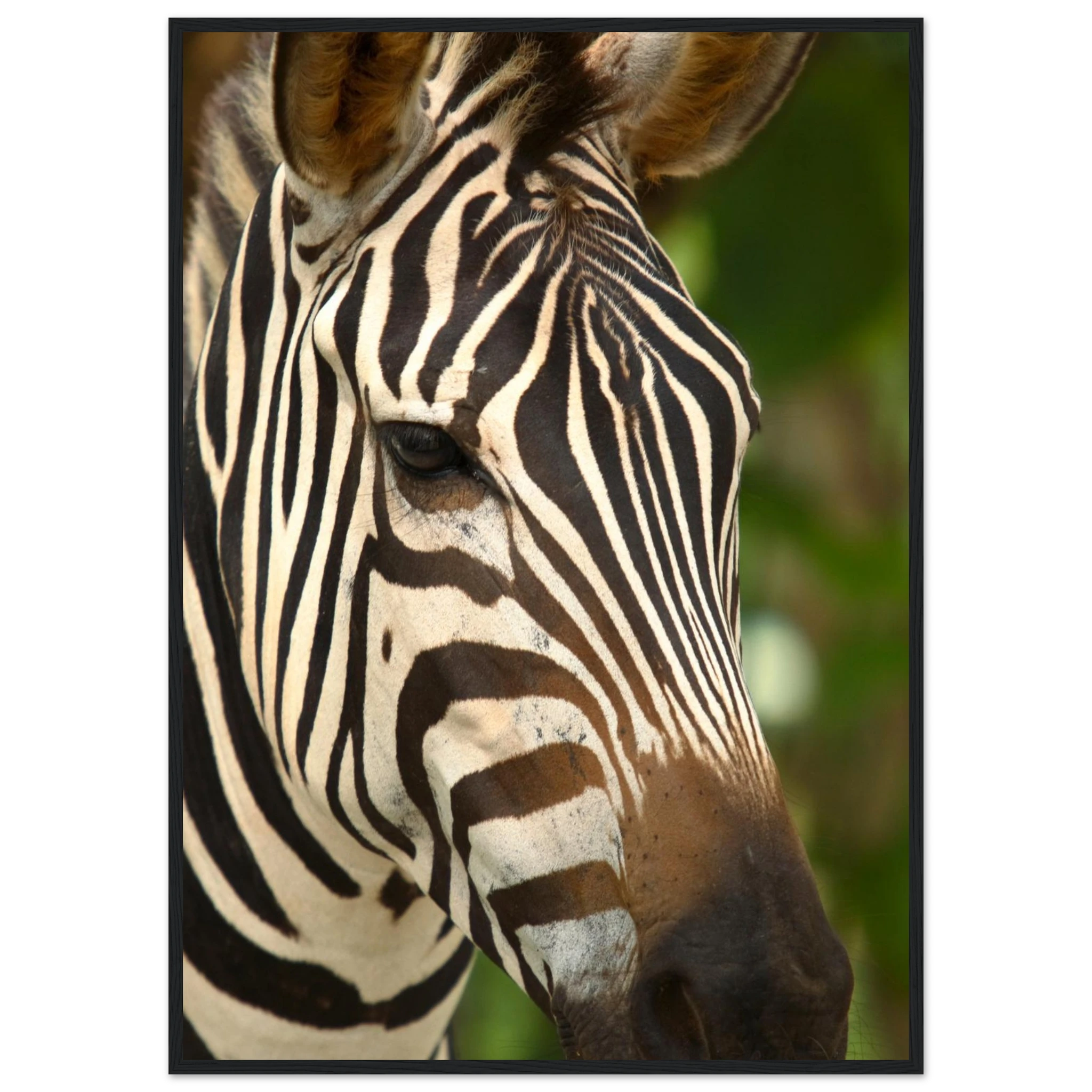 132f3473-98ef-4c8d-a8a8-2a26ba2b3338