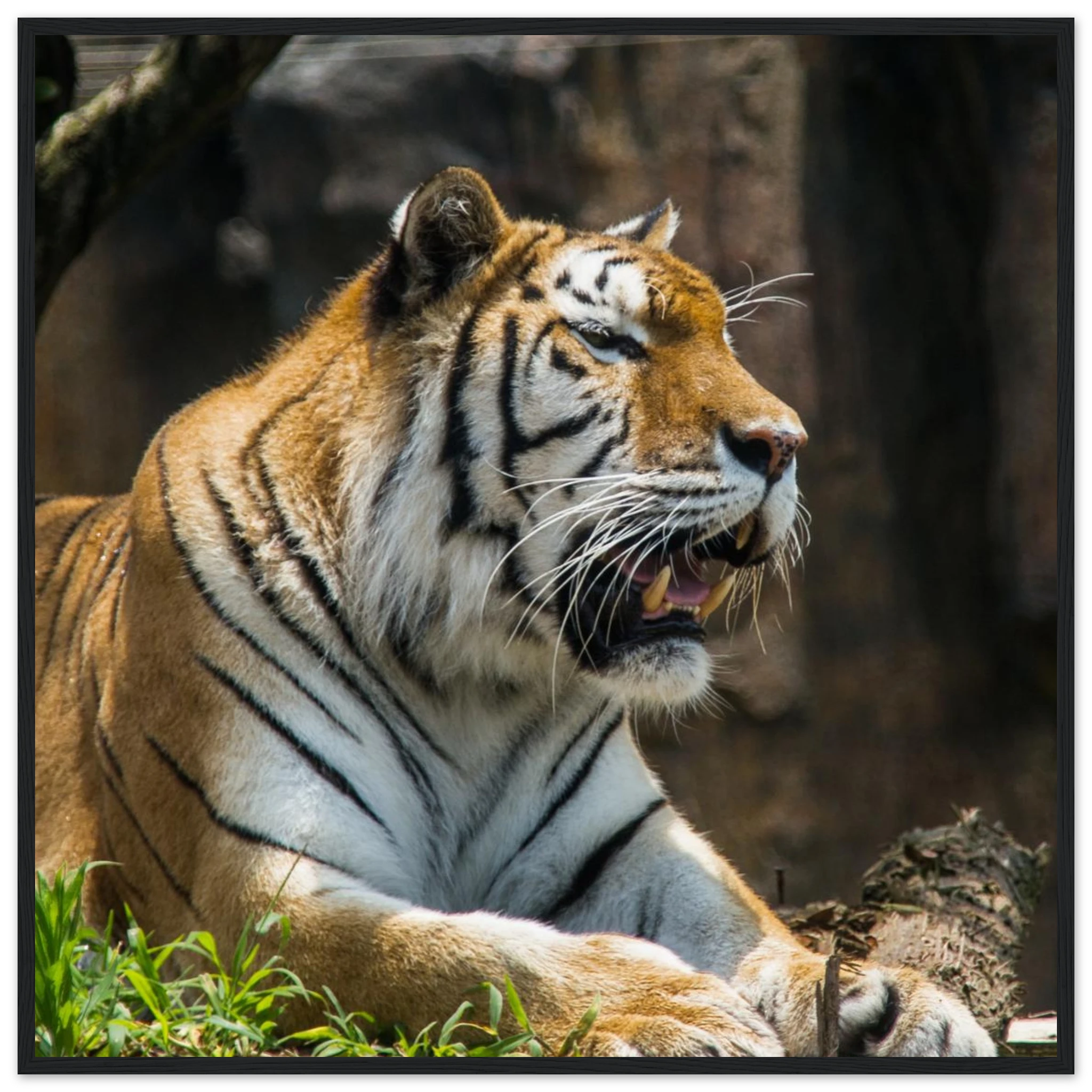 1348e17e-0e58-4c57-adaf-573361242035