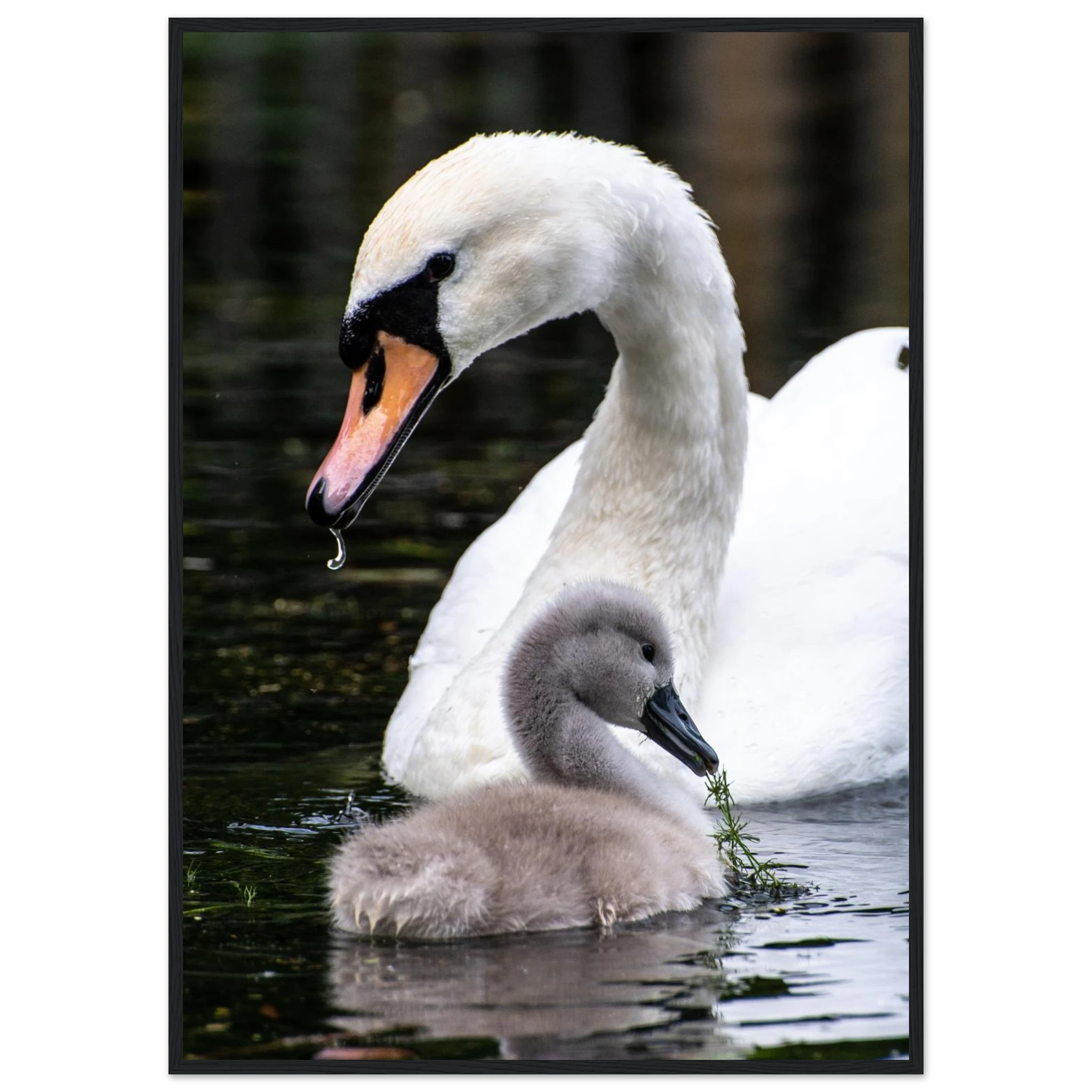 1363ce2c-bdd6-4230-9cc8-940dd8edbaba