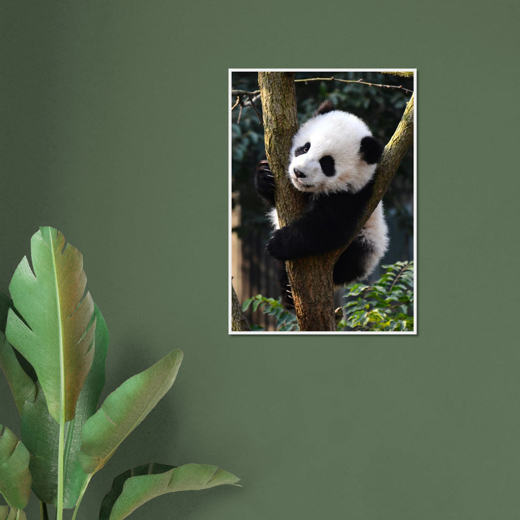 1388a20b-8ce7-47c5-a127-d1cfb4a5e089