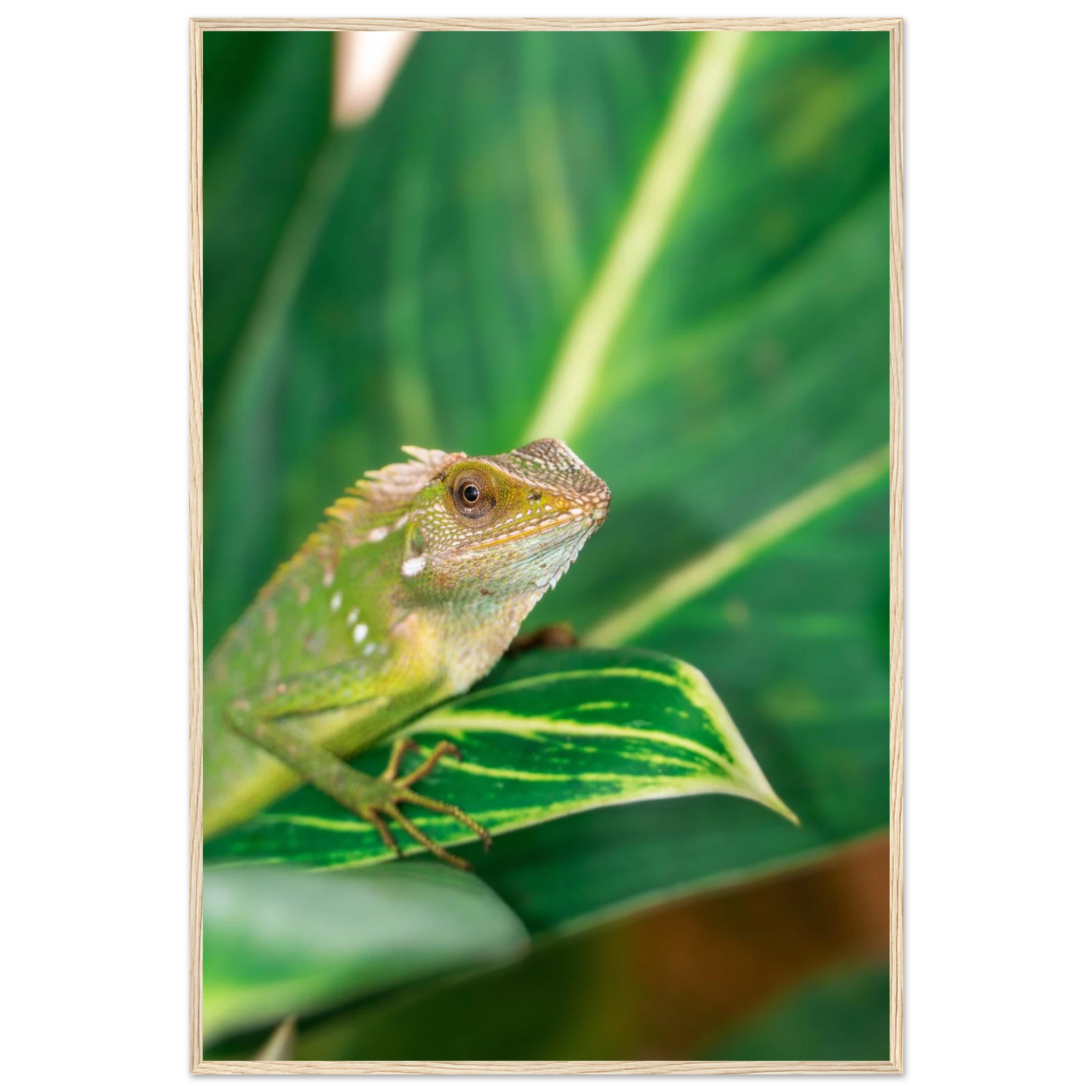 13c1fae2-3488-402a-9885-7b73ae2eb486