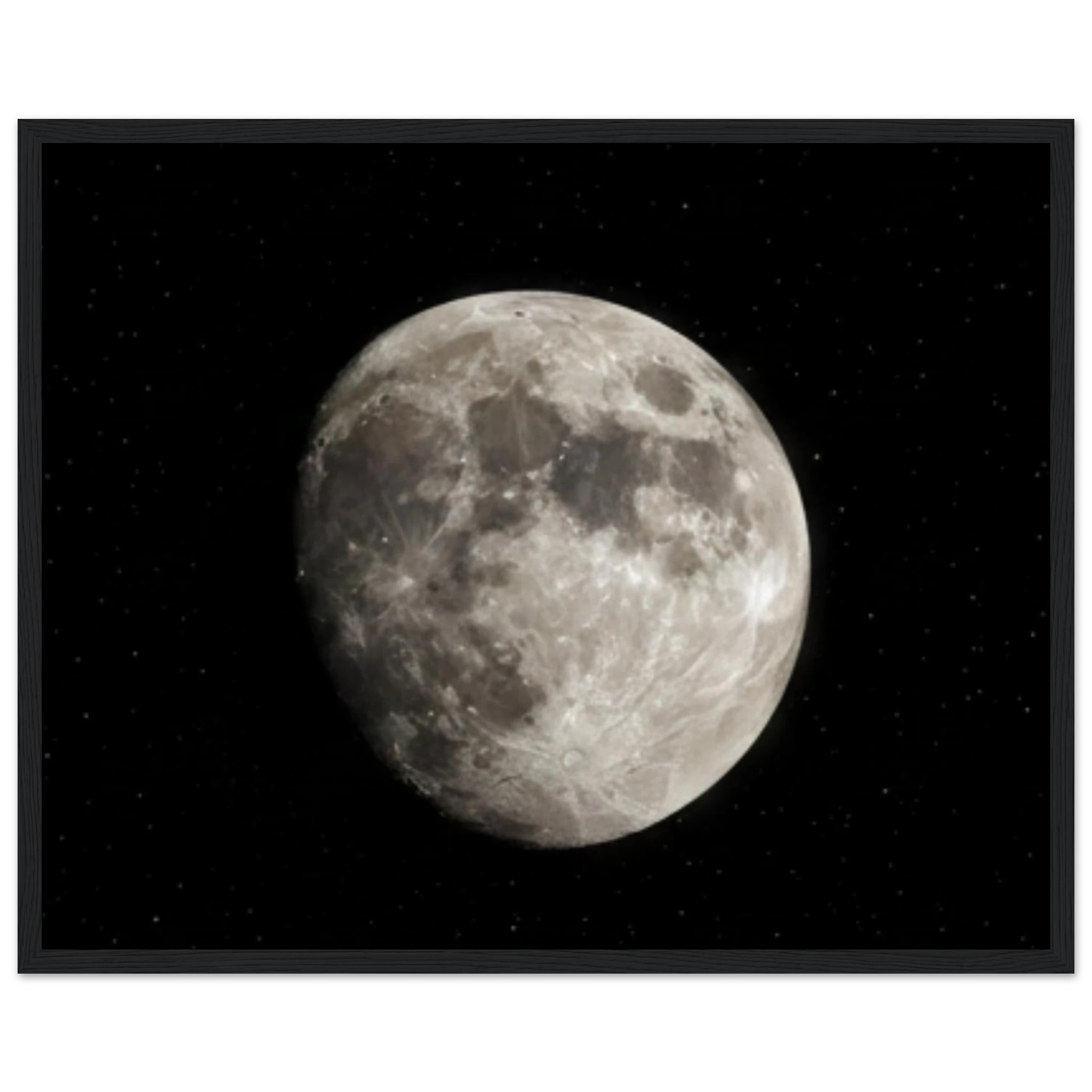 13cc70f3-e1cb-47d9-9795-65a168fde796