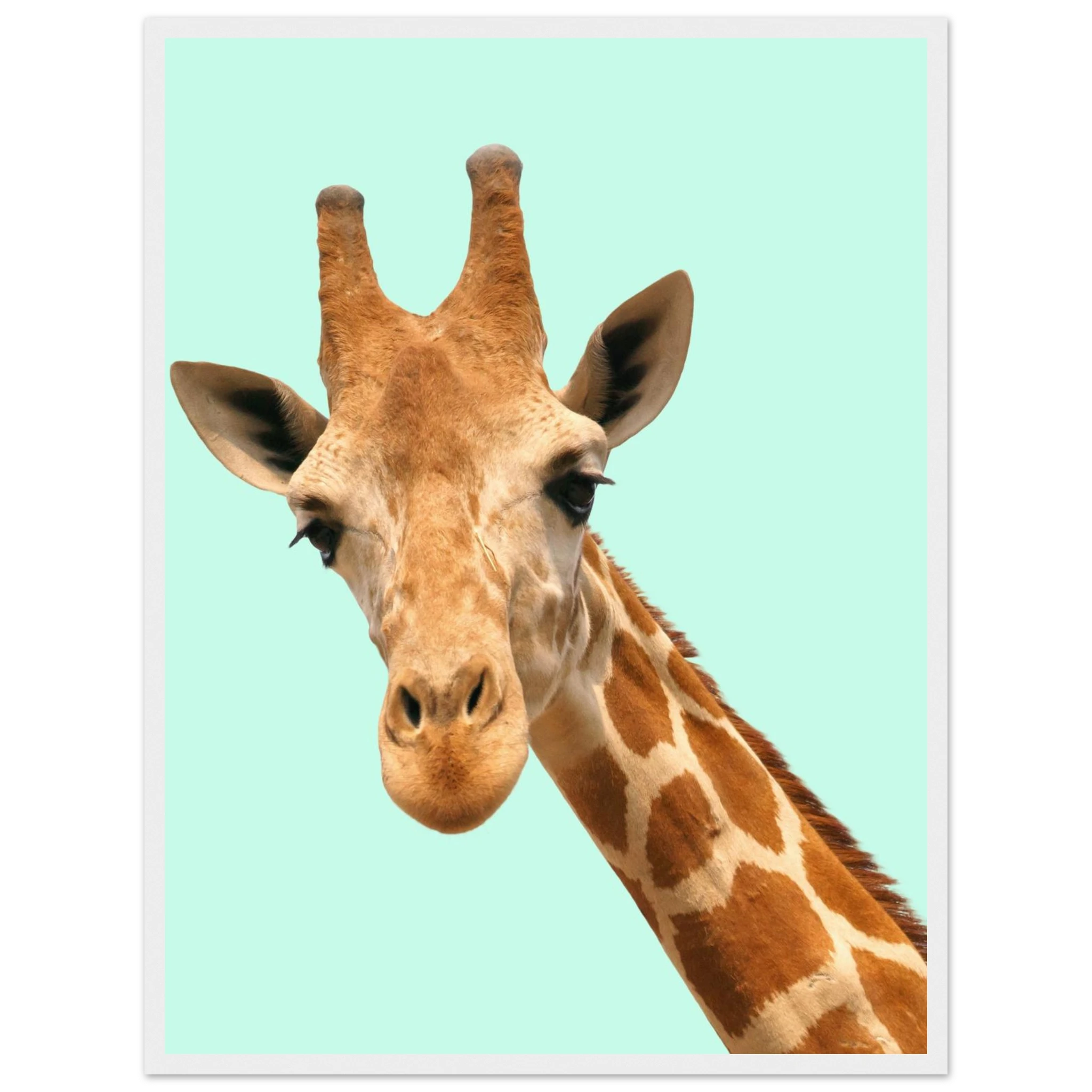 13ce4992-4a23-486c-99ed-ffc56216334f