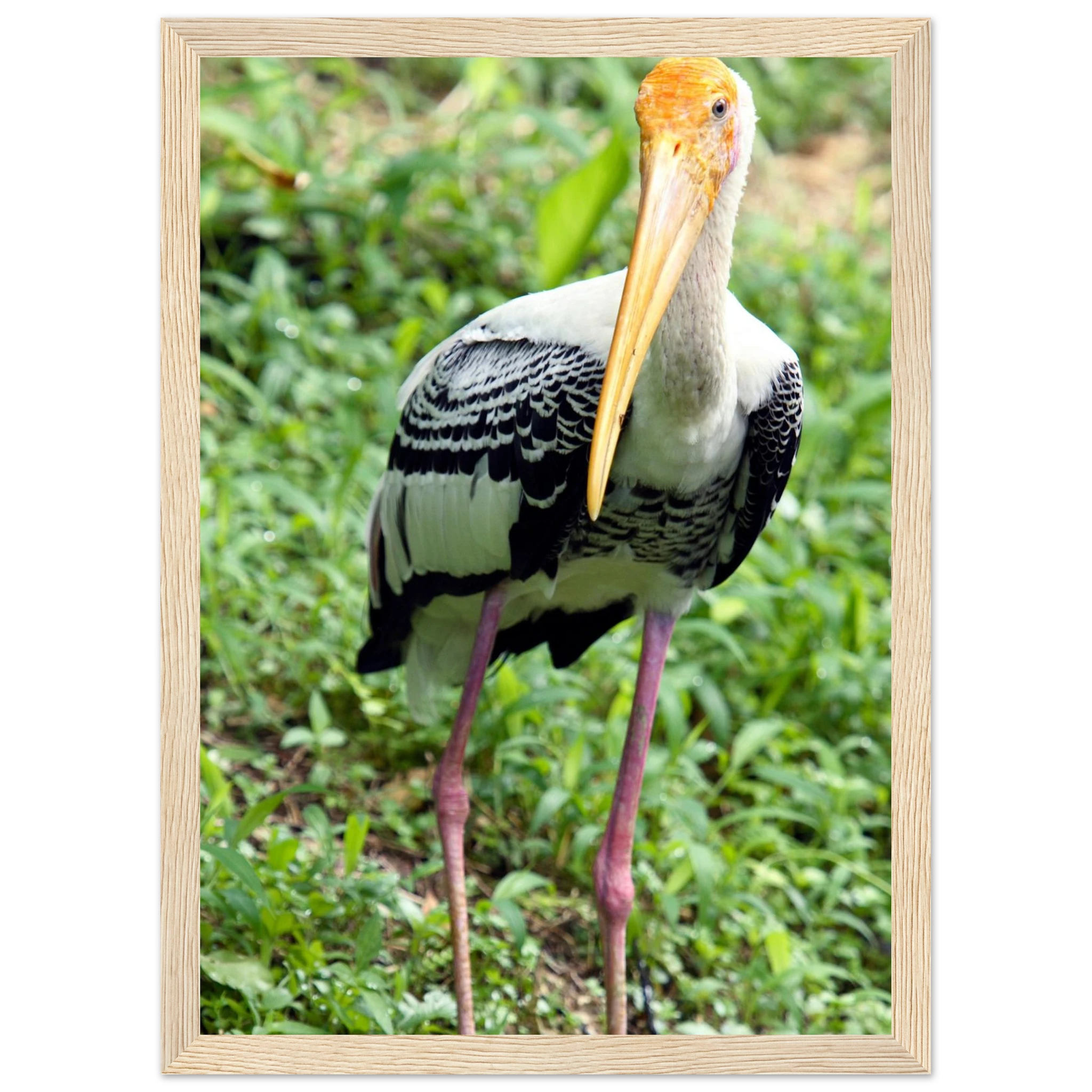 13e747bf-e3d7-4a7f-a488-30f8f7782219