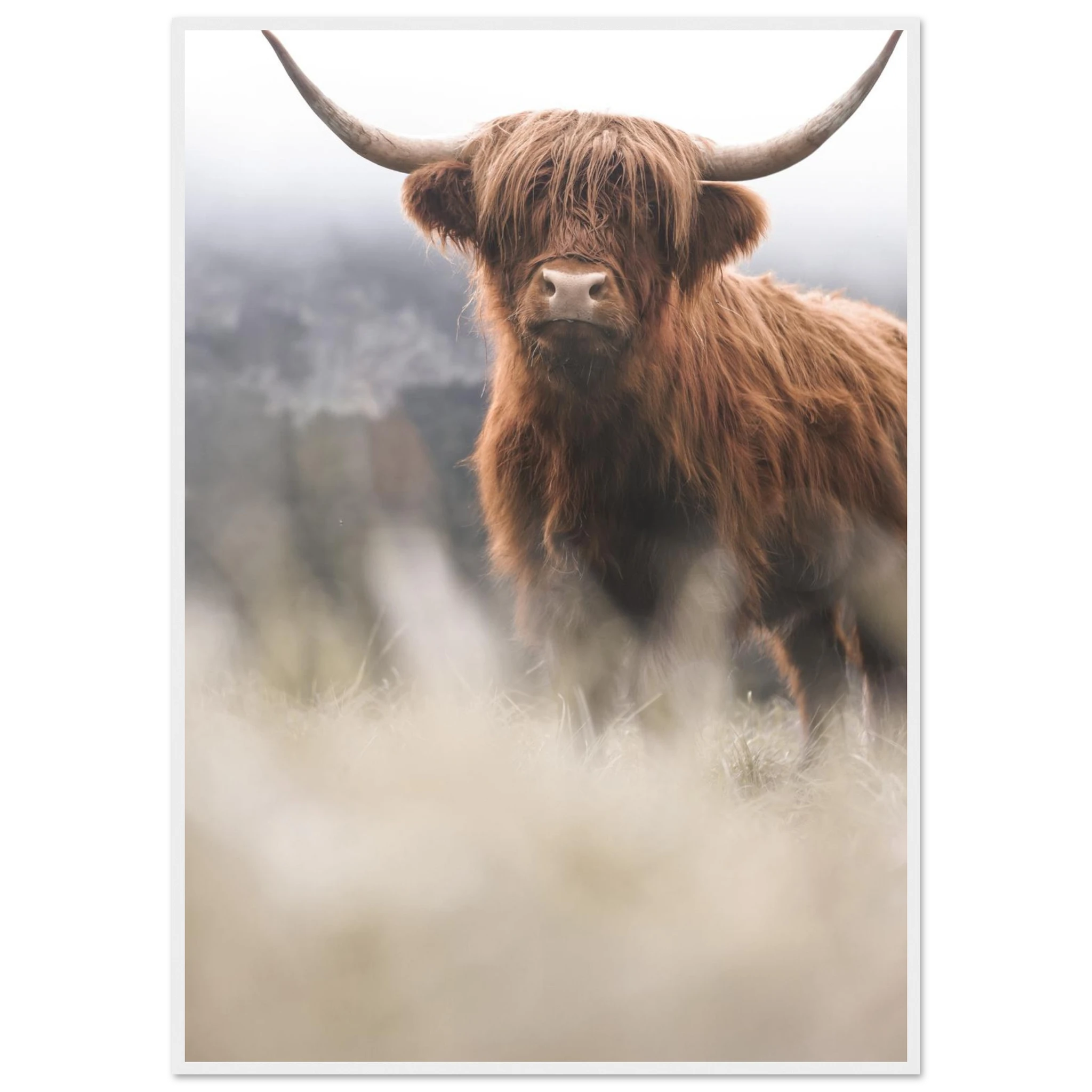 140d7749-d3b5-4337-a439-cc657cddef7b