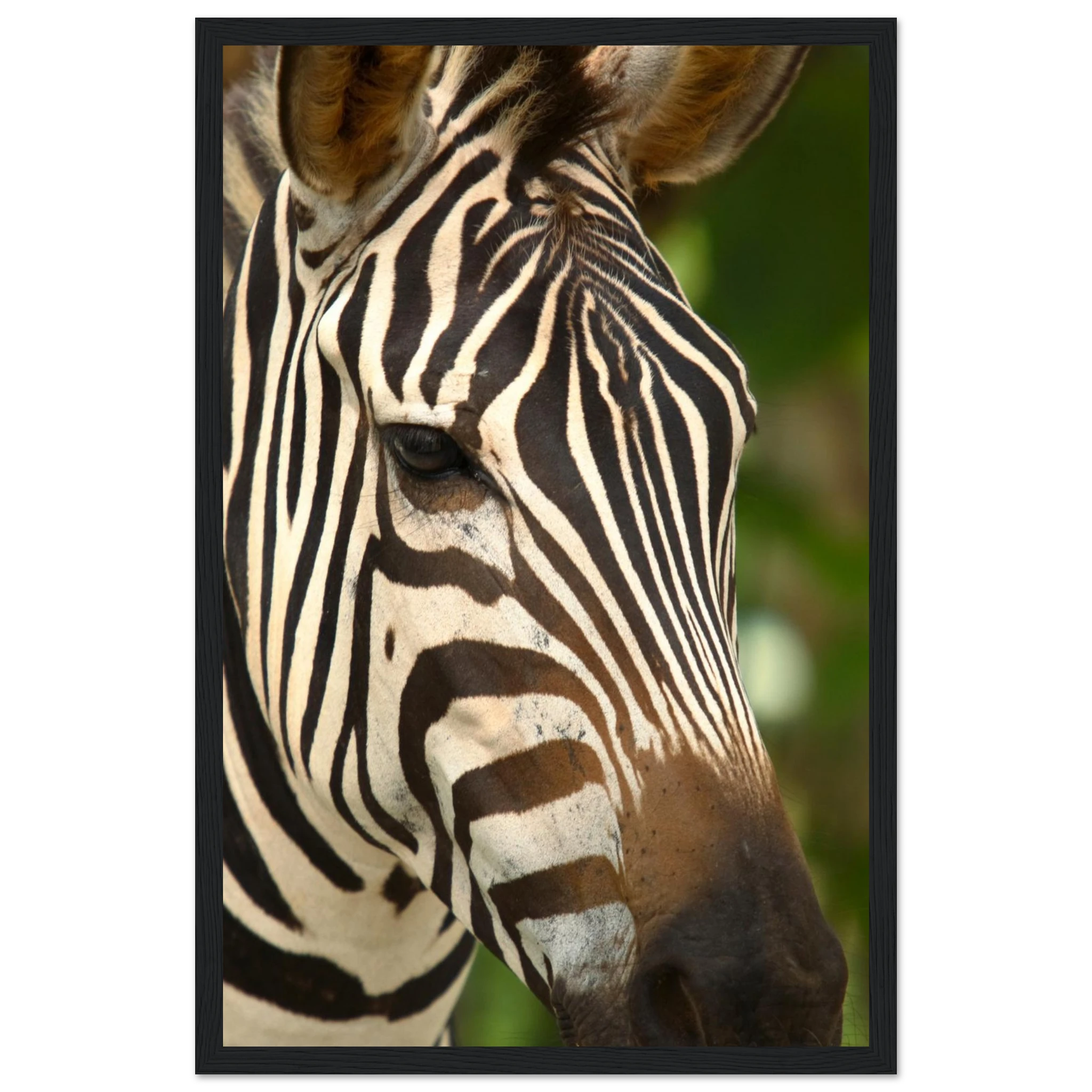 140e953b-1d5e-40b7-a942-6a2b50a09171