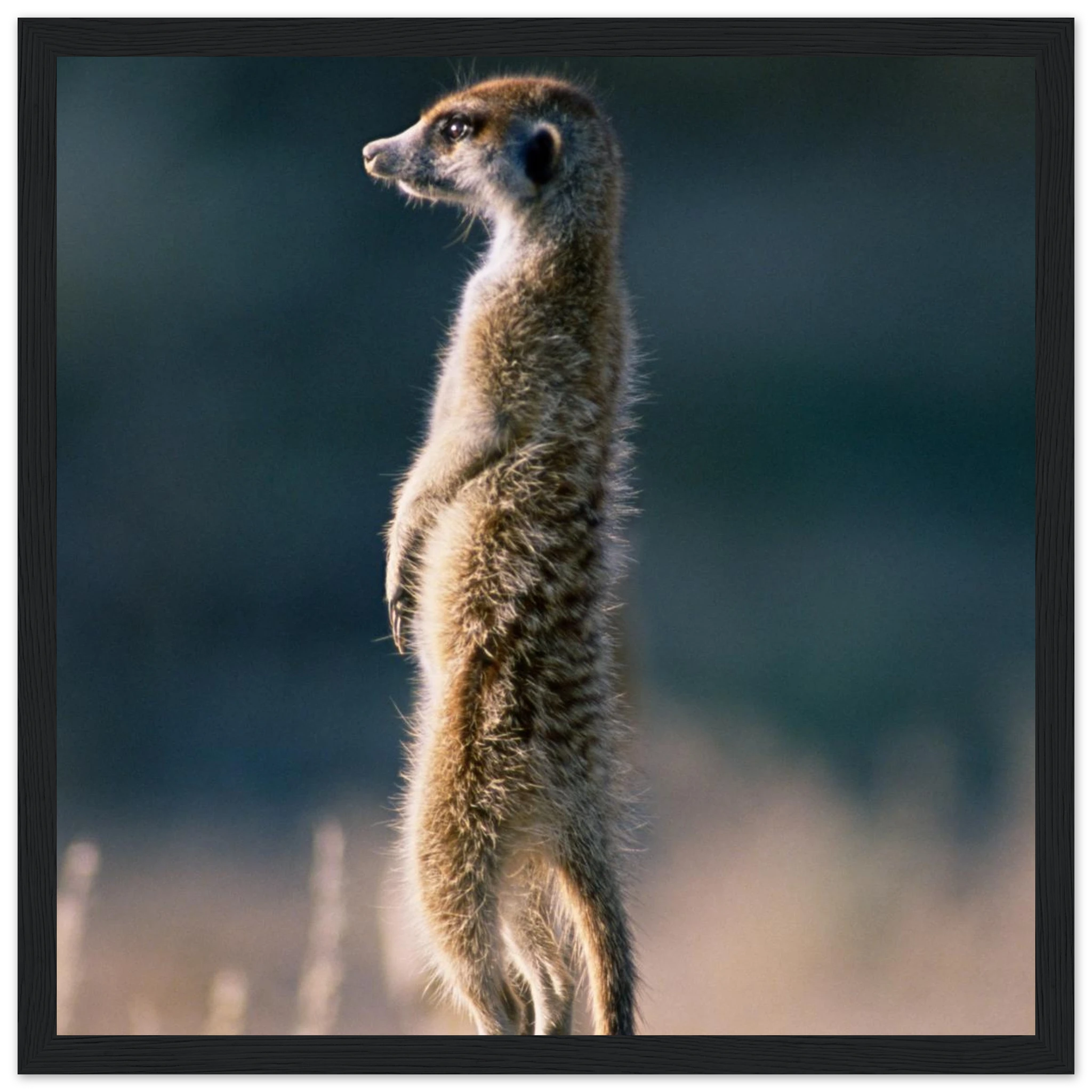 141cf6bd-80f8-4cd1-b675-a4d79568f891