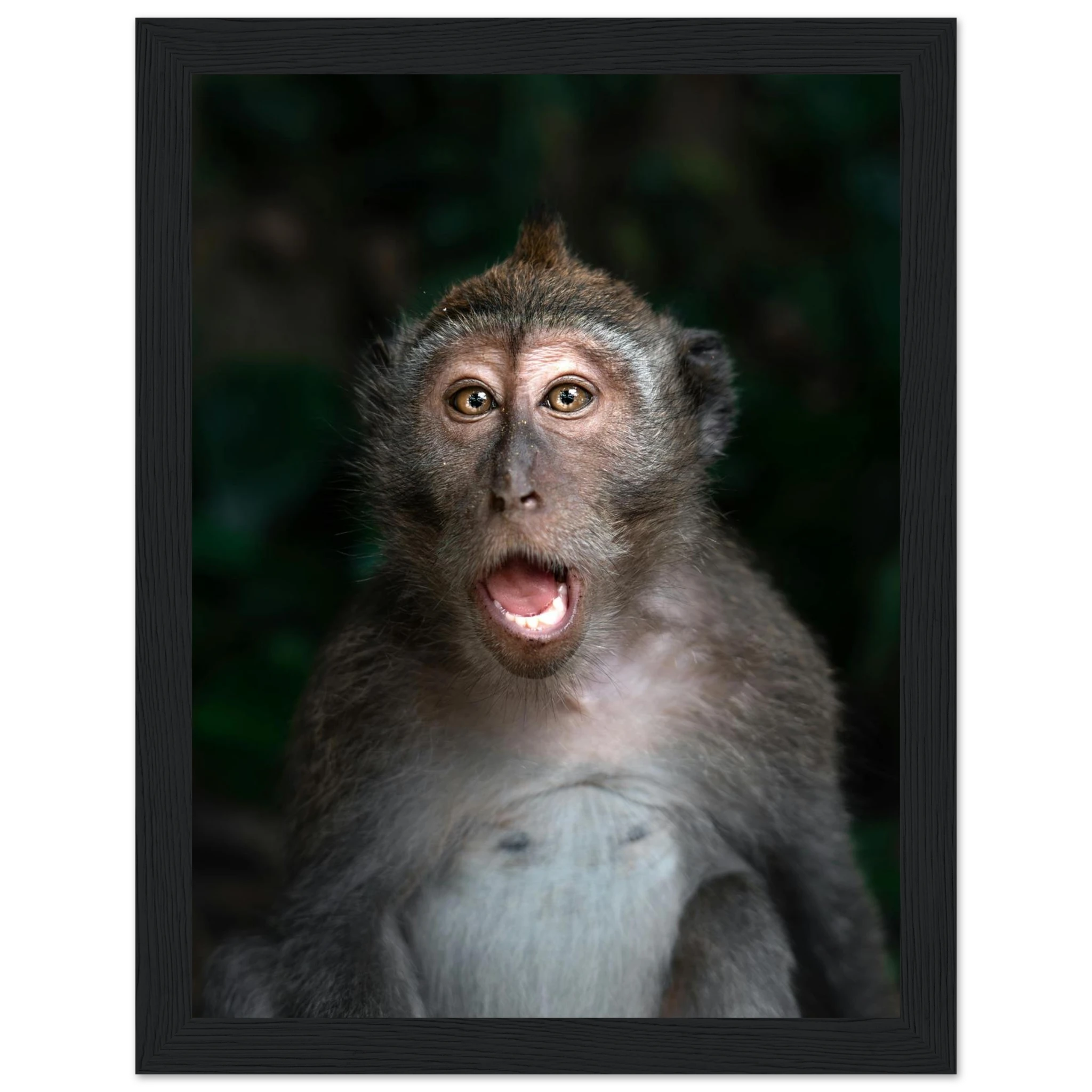 143a9fe9-23d9-47d6-9725-efe89193d651