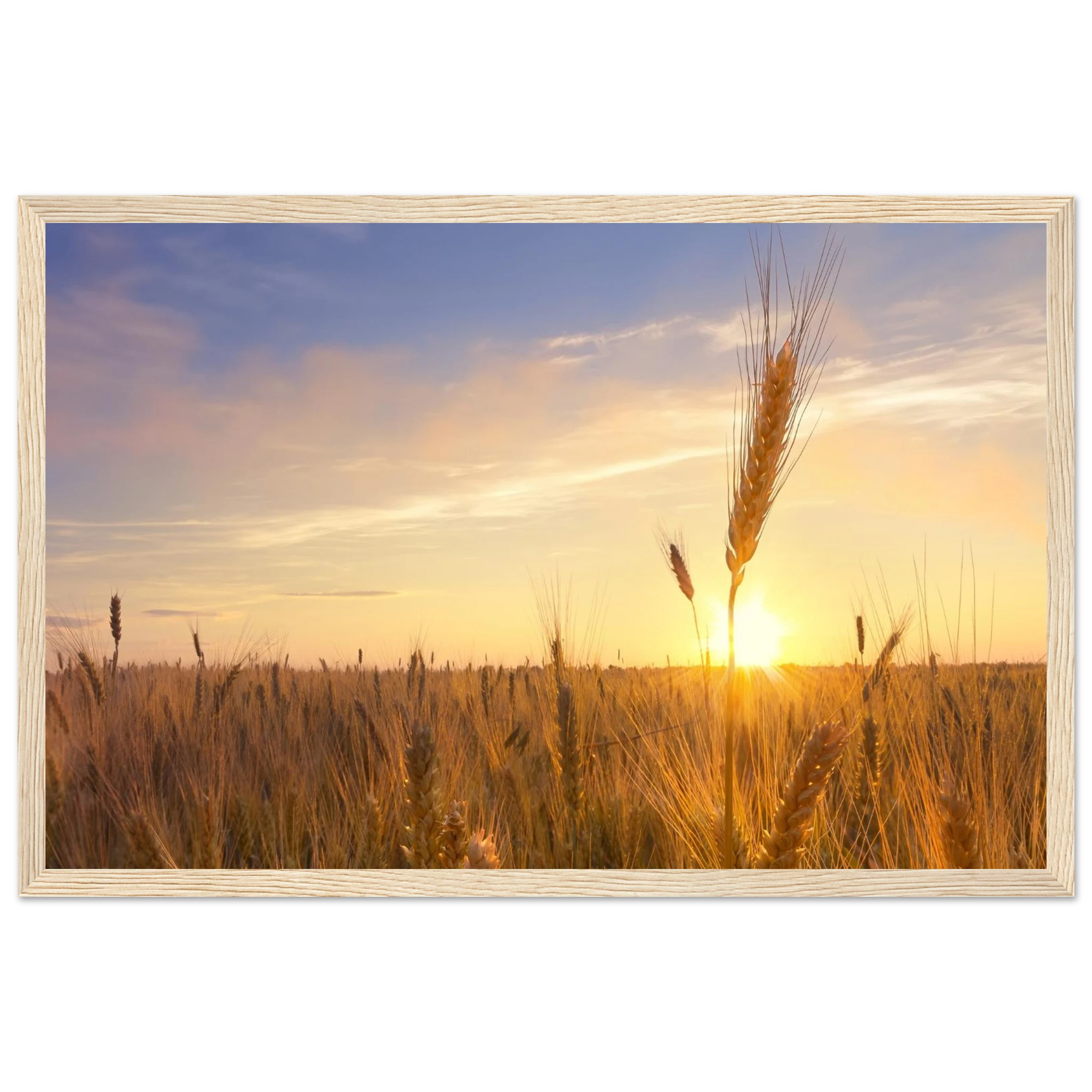 143f0631-e813-48de-a21a-1fcc34083780