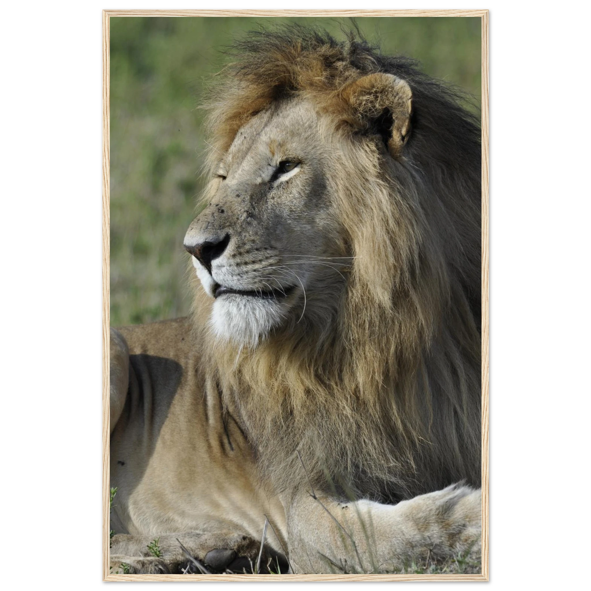 1451deac-c620-4c2e-bf8e-c5e074fffc20