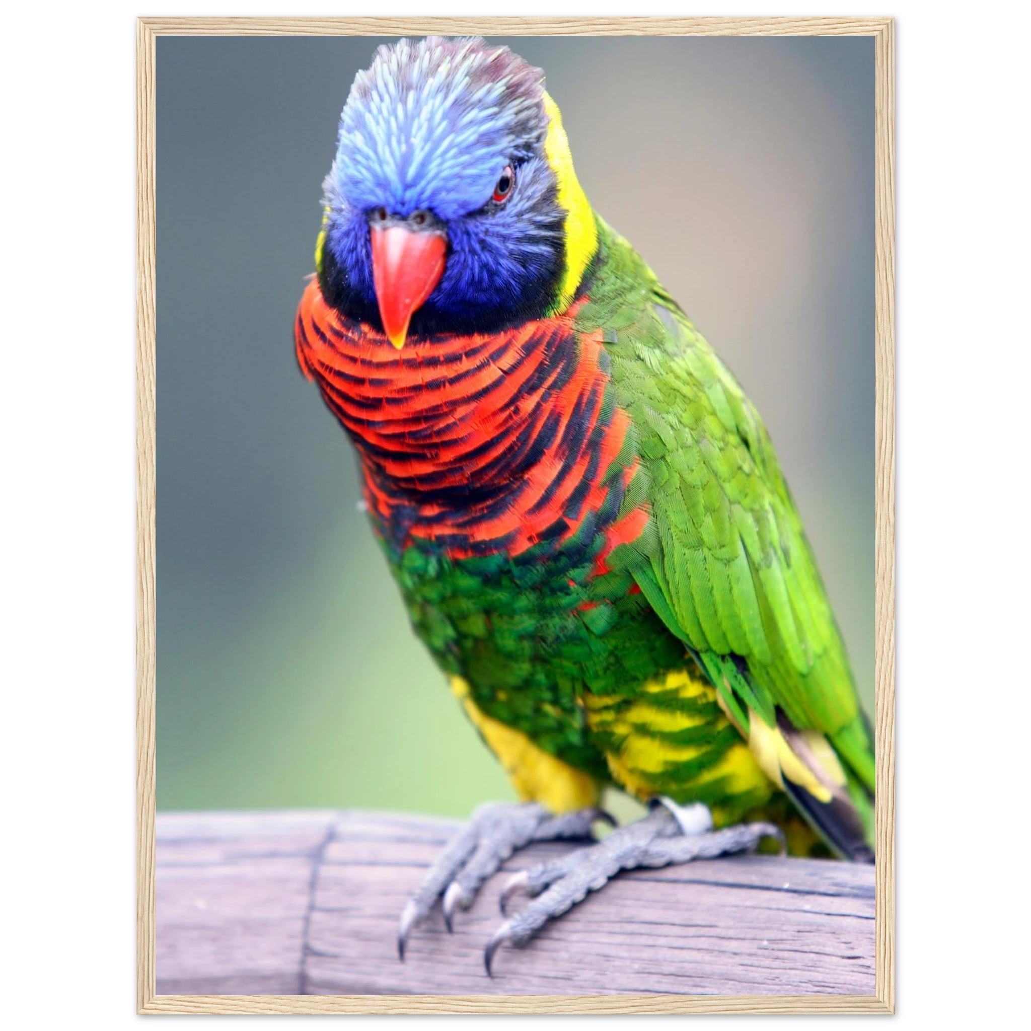 1457659e-d0a8-4bdd-b94a-ba9c60f29005