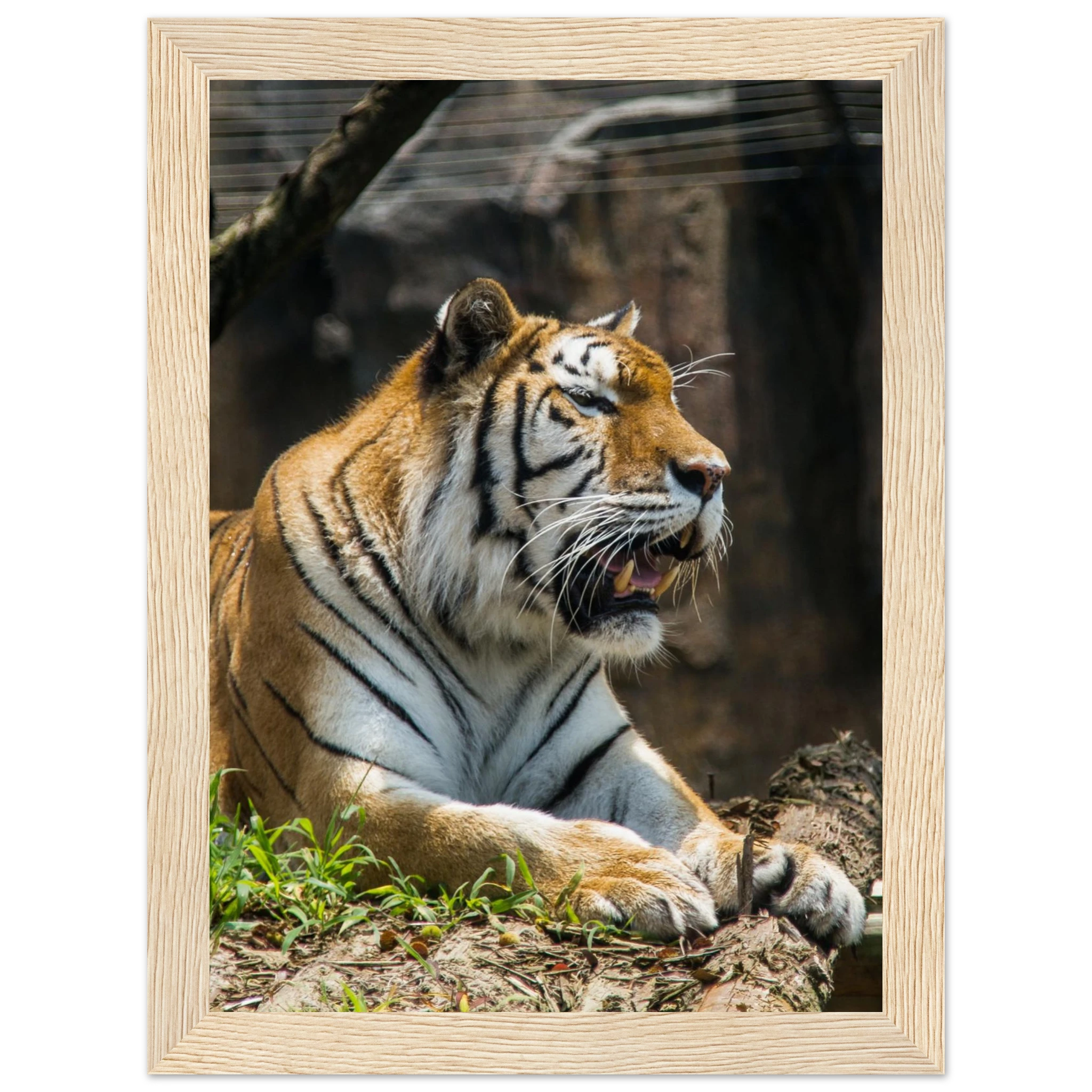 14645efd-8cc4-4cdf-b9f9-aea60bbfea1d