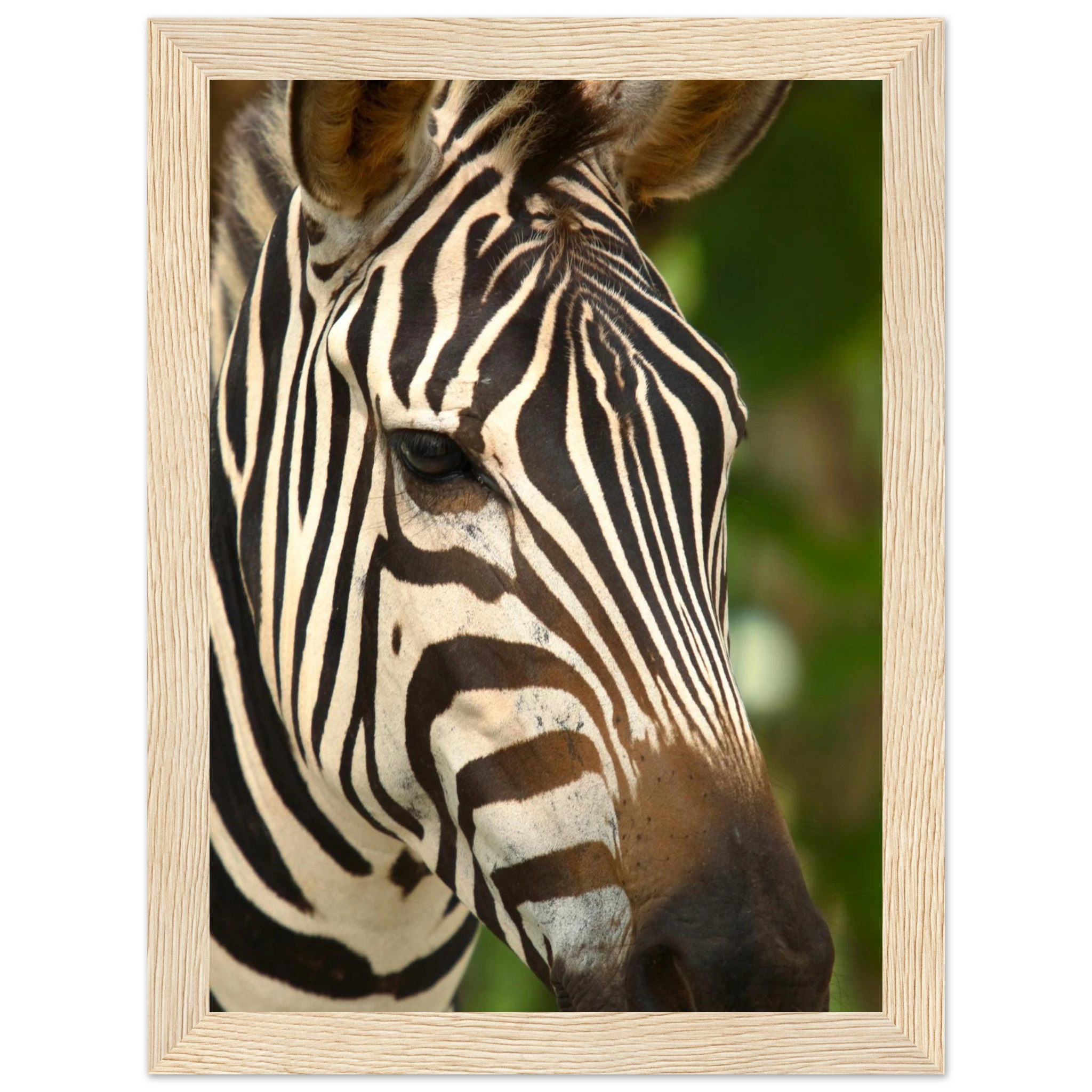 146a37e4-c871-4c46-91ae-e3ba08b3eb5c