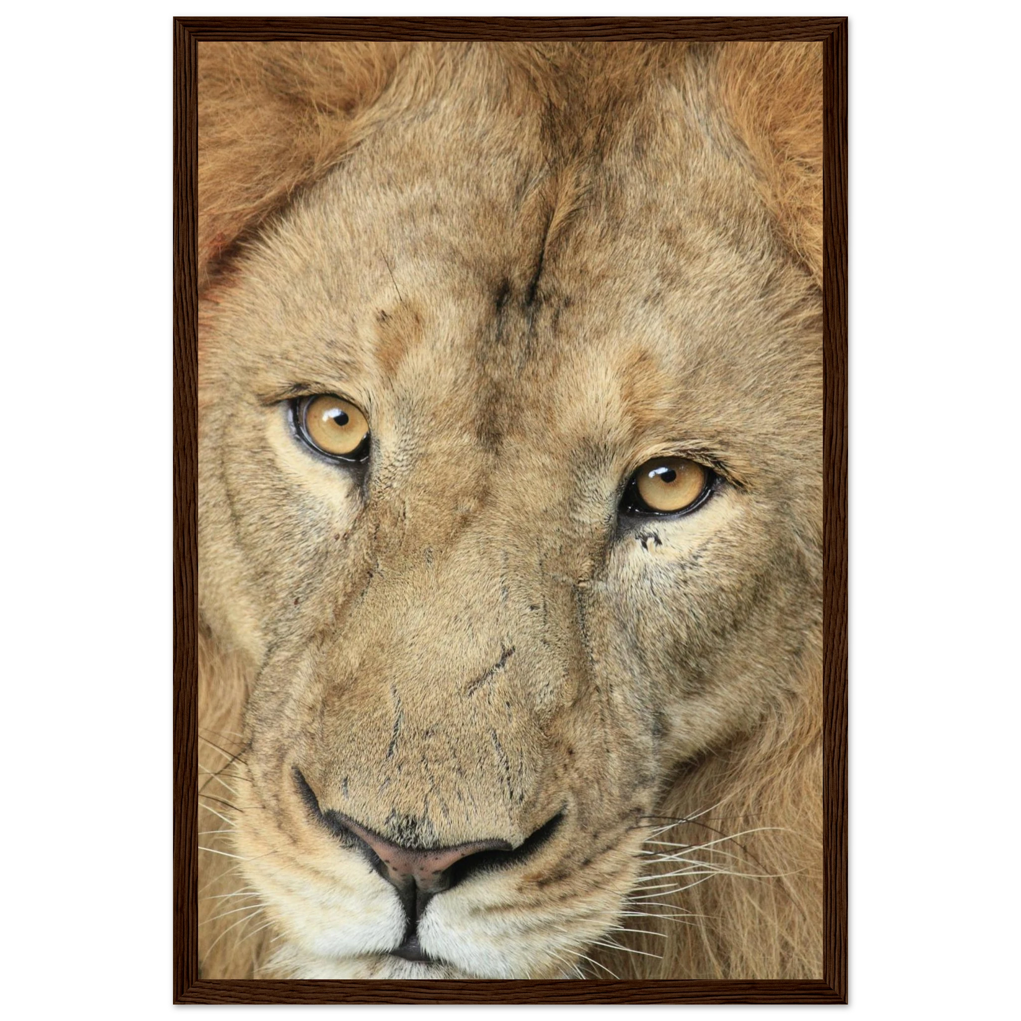 146b856d-90af-4016-90e2-5116764b2001