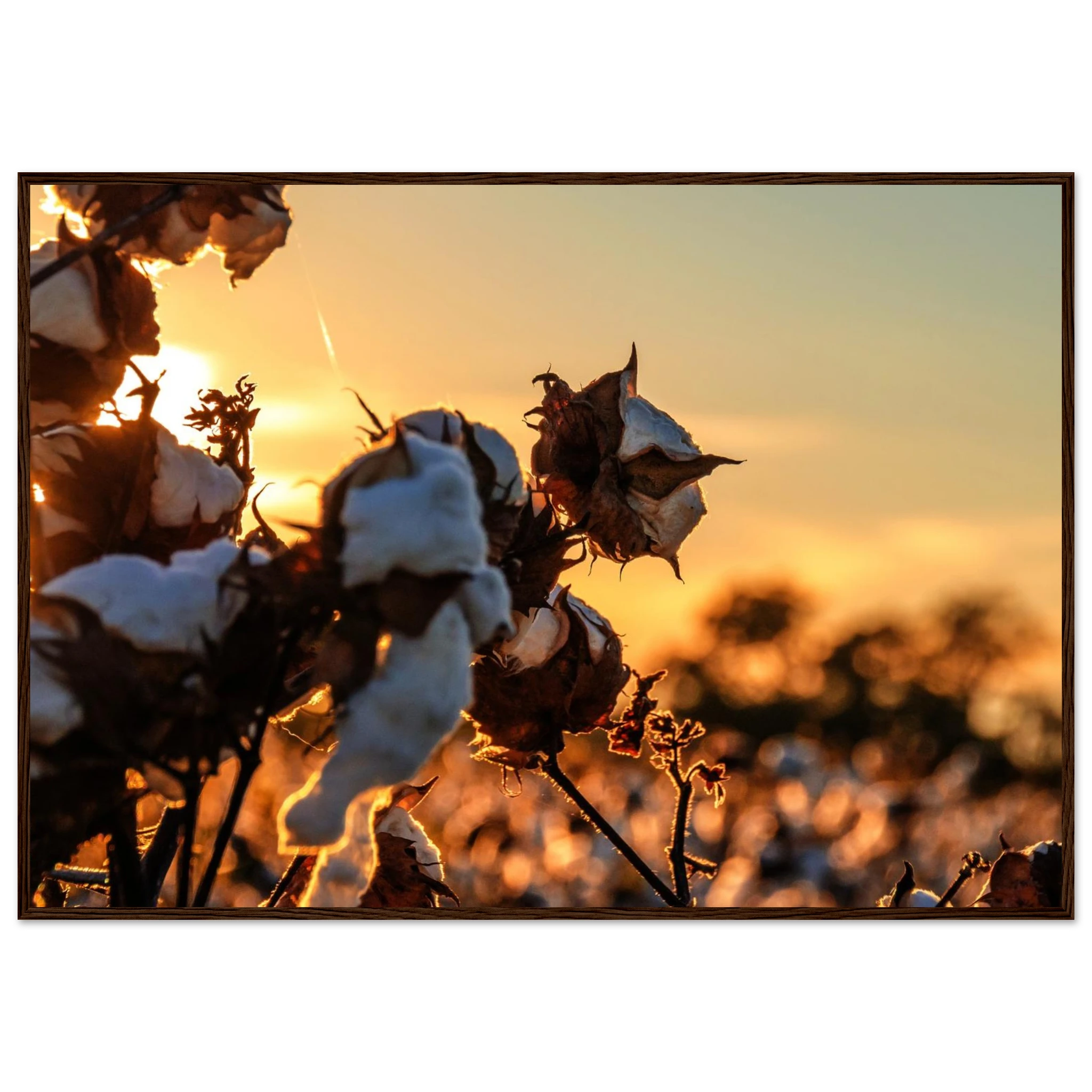 1471dcde-758d-44b6-94db-8c502cbb561f