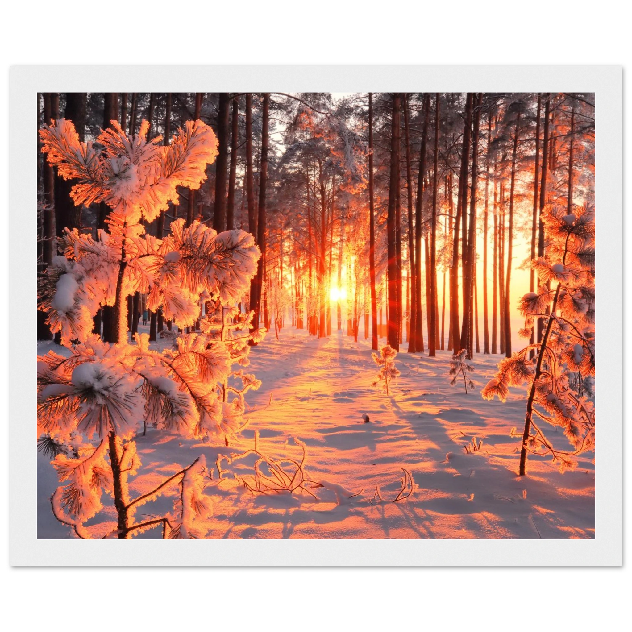 14862d33-3406-4185-91c4-9788967b2d14