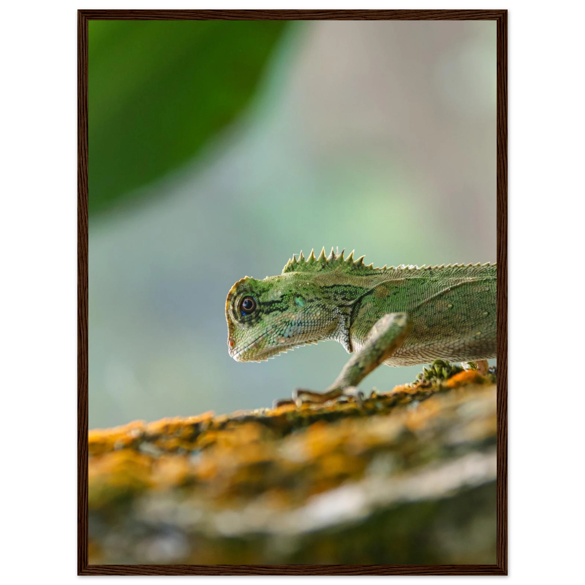 14896eec-8b10-4e59-97de-6394bed21033