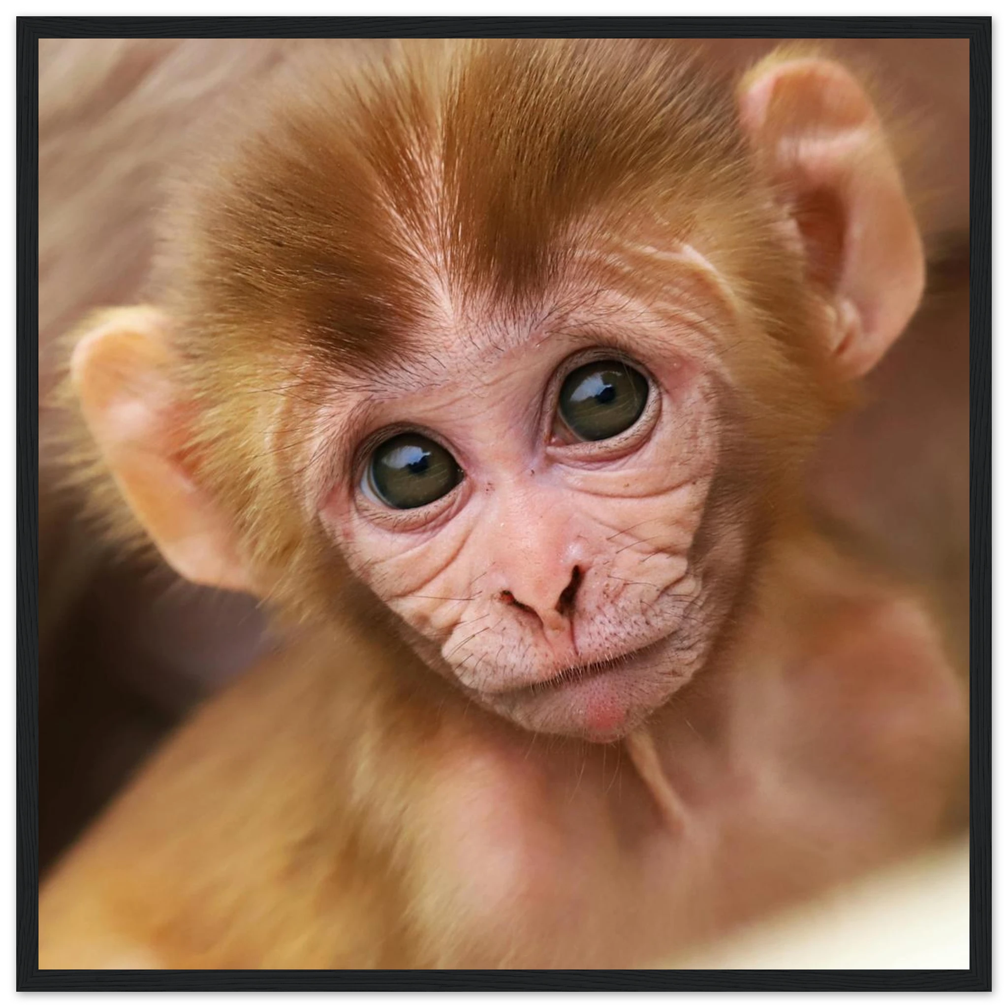 14a73816-a9fa-4e64-9eab-65ffe4b1935e