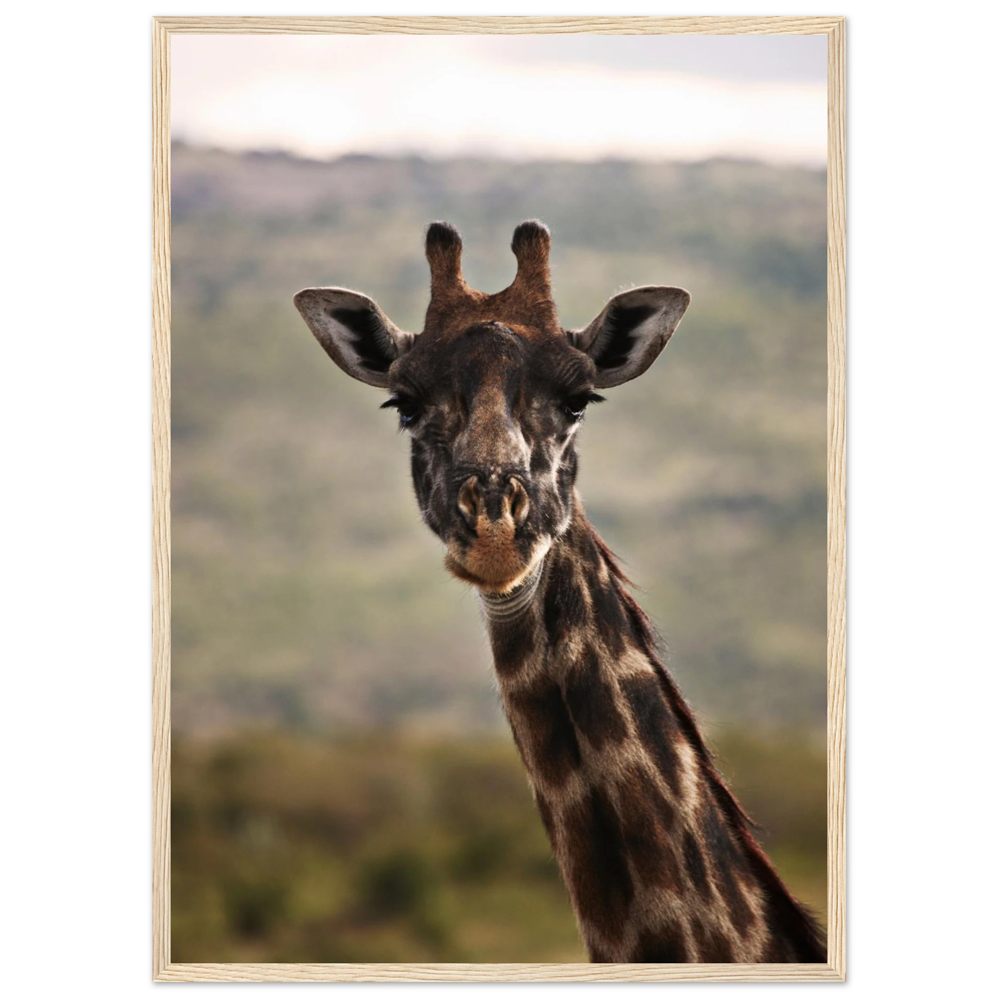 14b1209f-3306-4a8c-92a8-8fc66ad74ba3