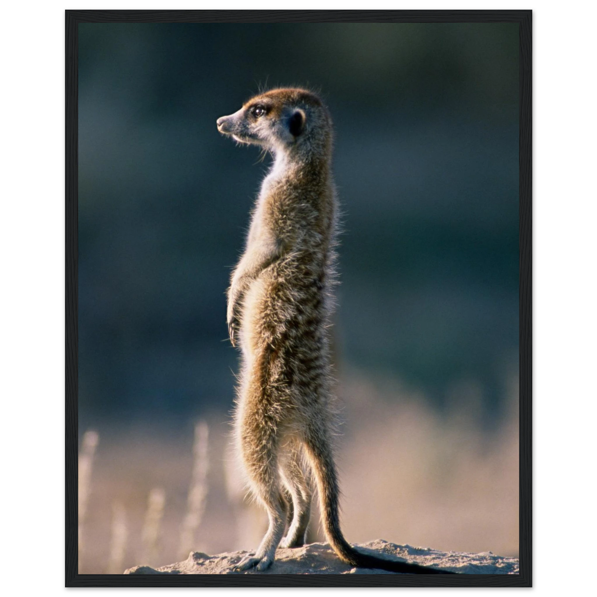 14b3653e-b688-461e-a345-ad63bdf2c1ac