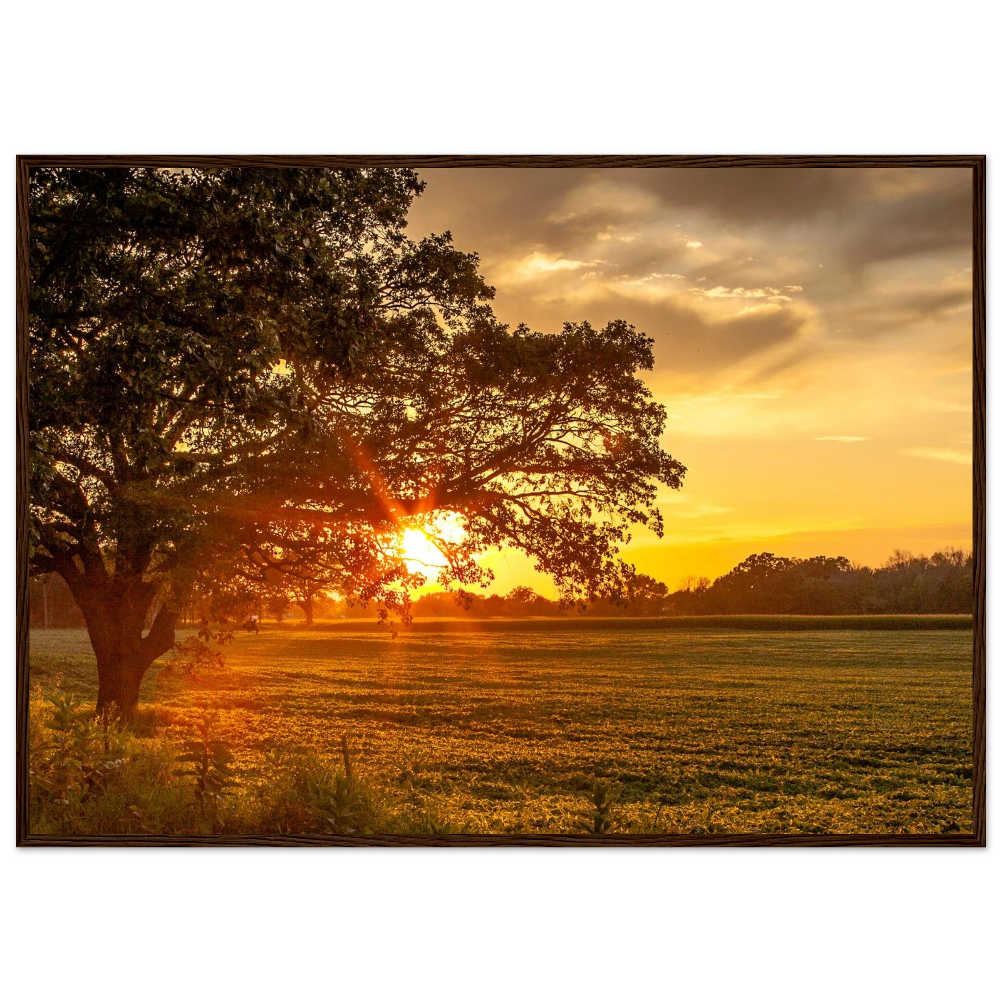 14b75863-31c9-4ada-a8ed-b62283e55abe