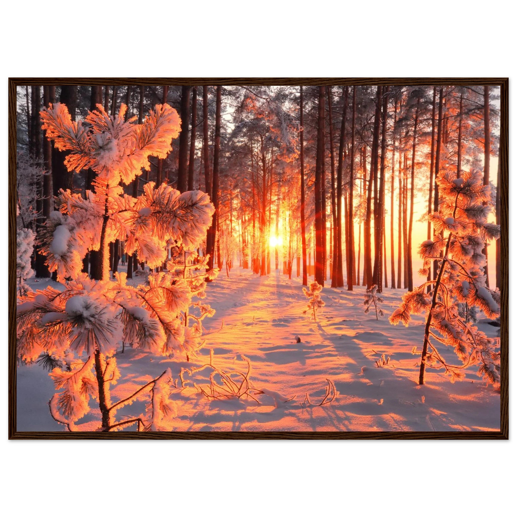 14dc1bbb-82a6-43de-ae97-cfc826753718