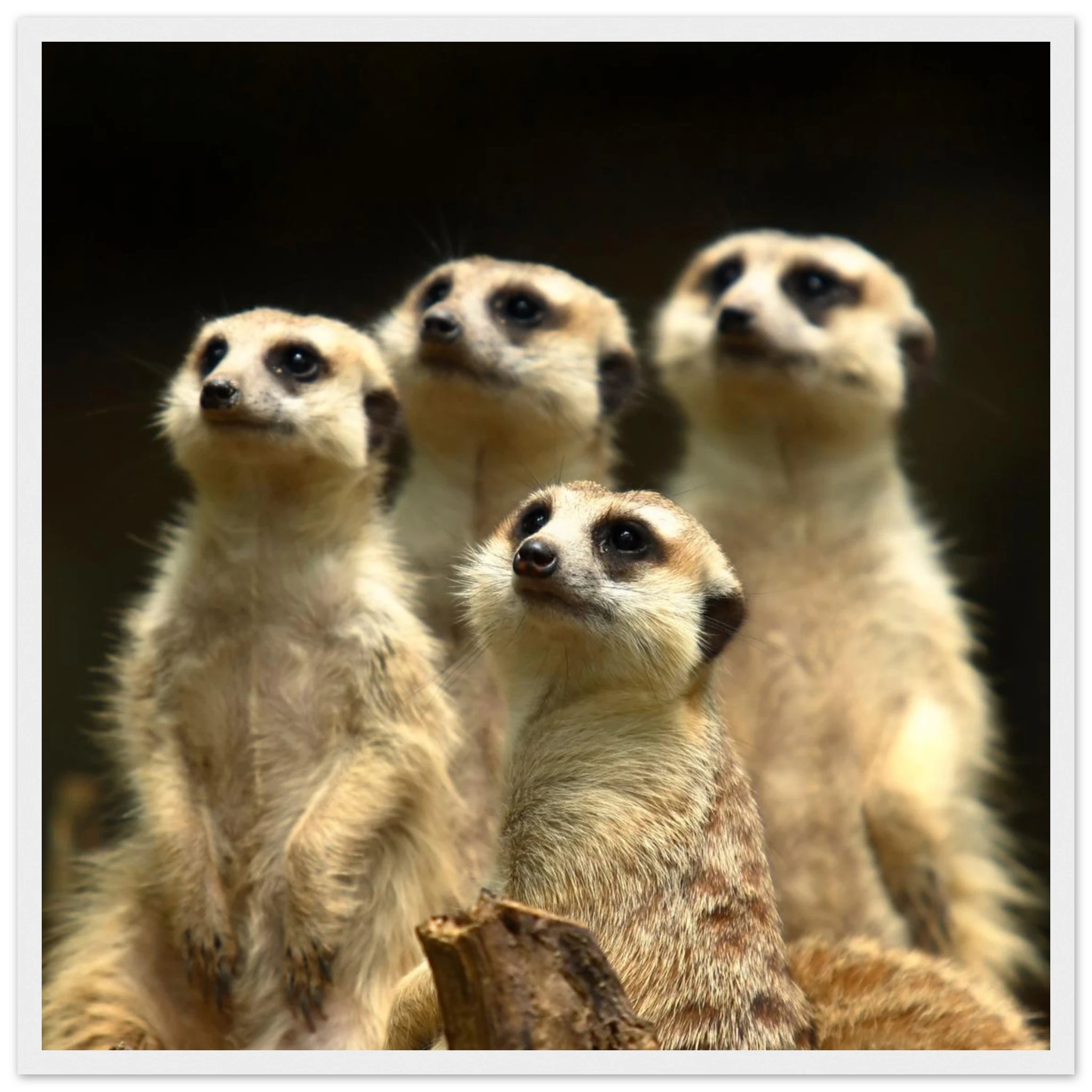 14e2540d-d763-4058-a15b-5cbc0ad7cd4f