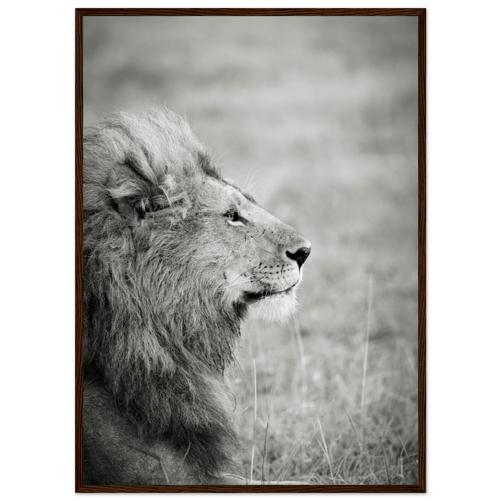 14e31e89-b9dd-4047-9c9c-ca17c5e79790