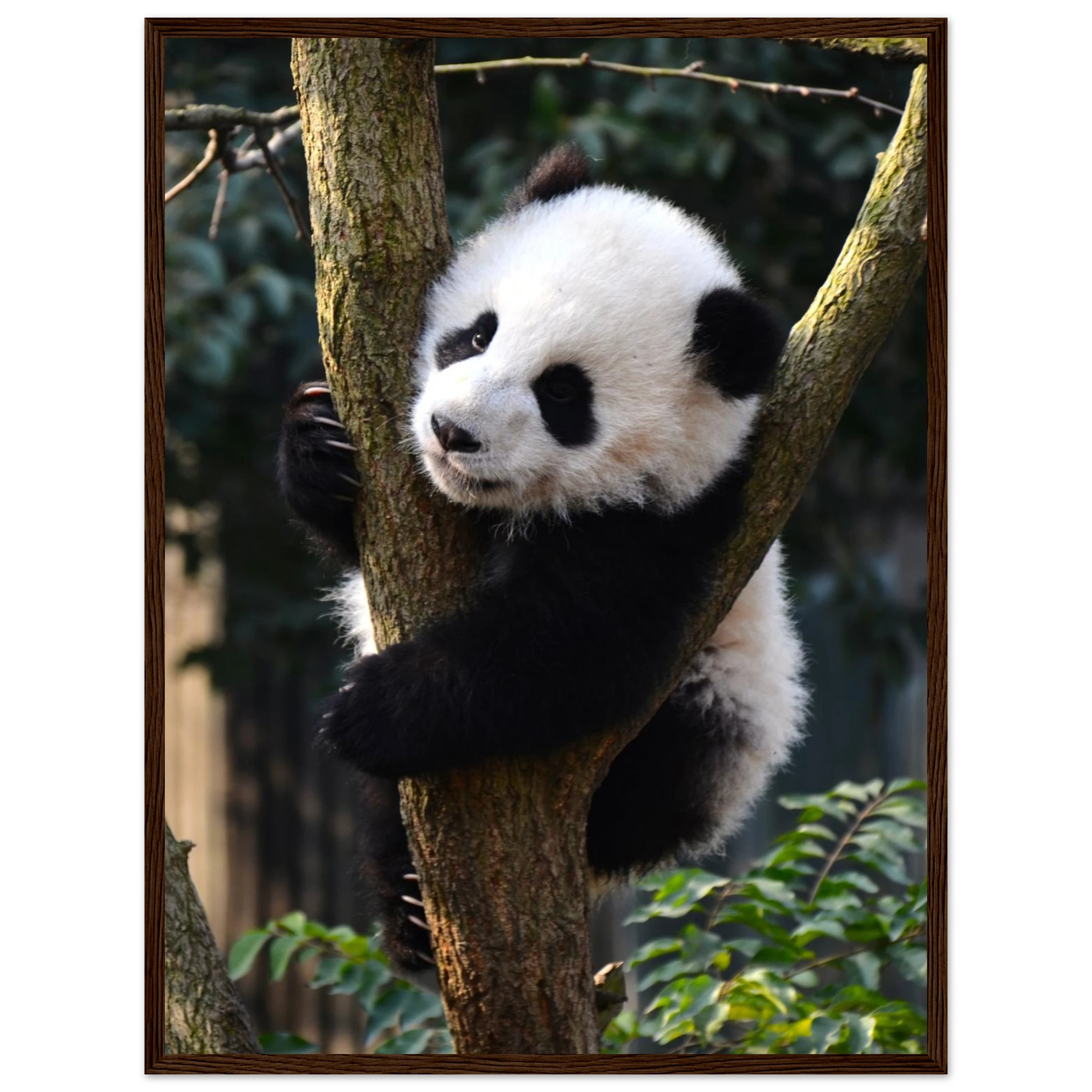 14e33179-316d-4bc2-8641-9f77518f935a