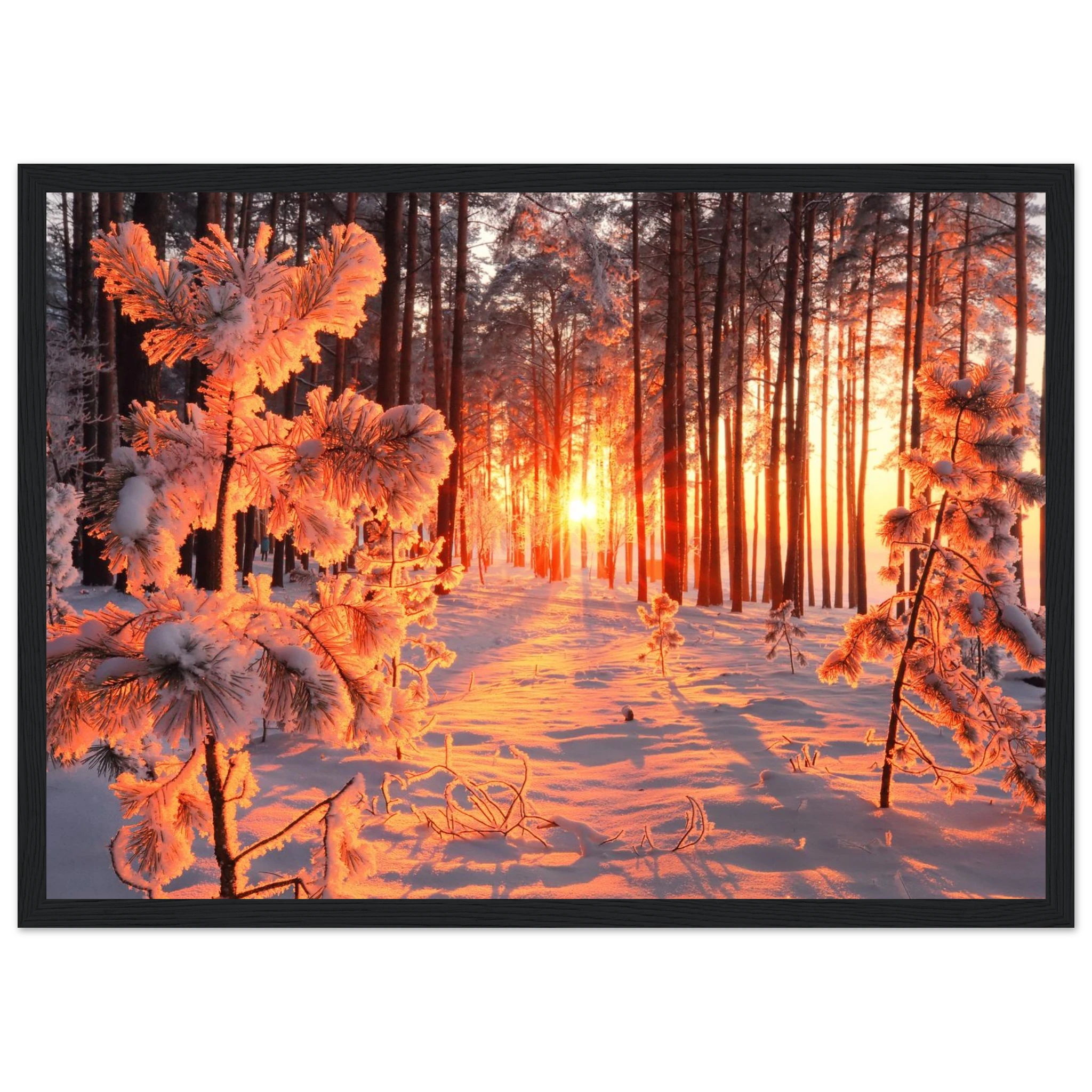 14ecbd76-47e0-4c22-a778-315447643ac5