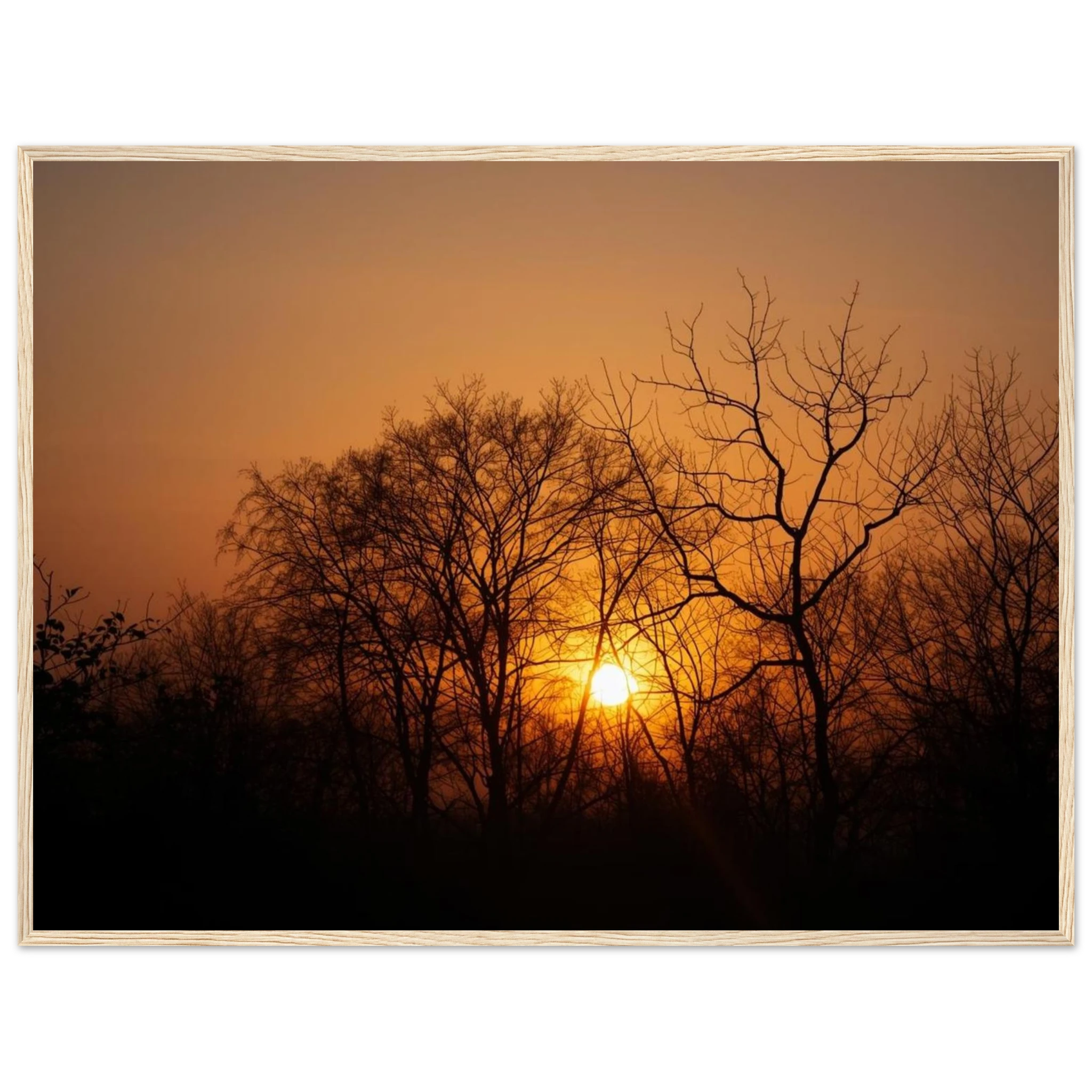 14eee115-fc41-43e8-b413-cd1cff58d2aa