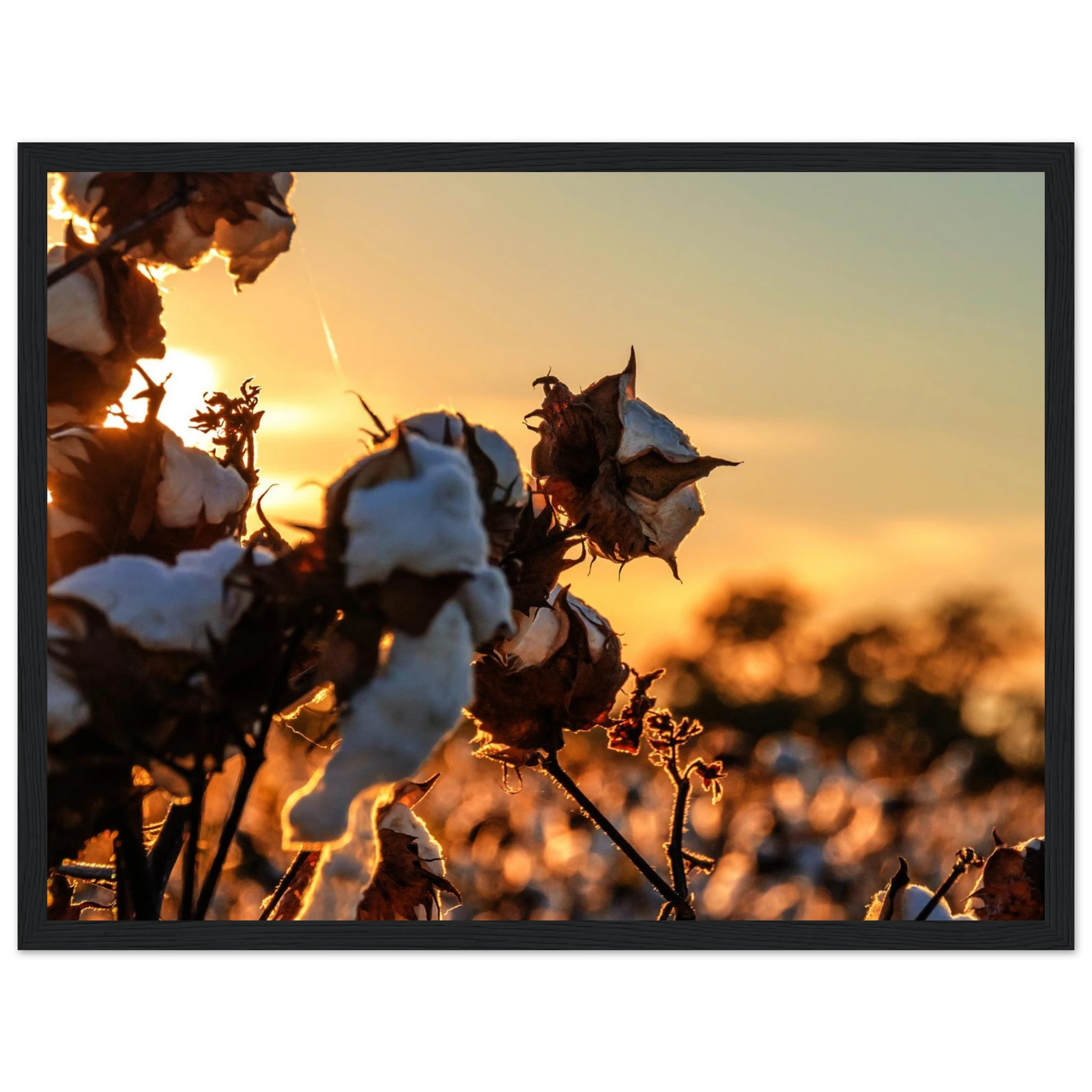 14f70a1e-9f66-4cd6-8a78-03d2ecf3c186