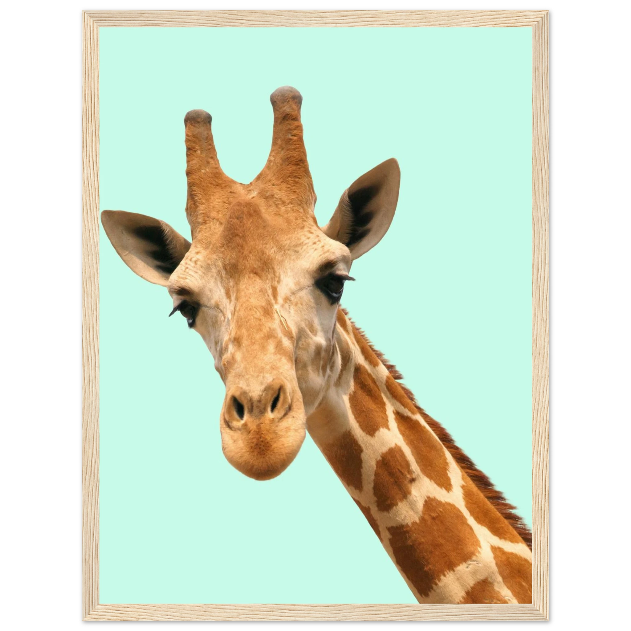 151259e3-80a1-4a5e-a288-ebdb7ffbb653