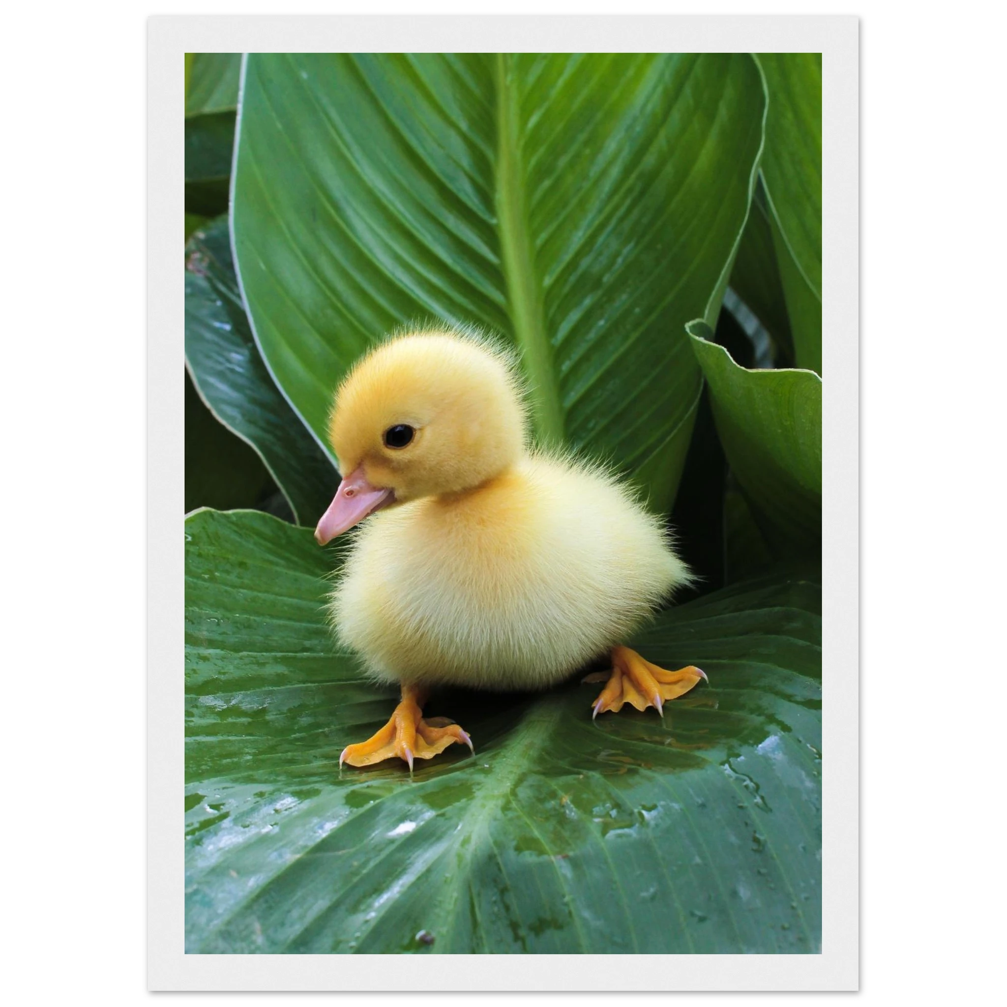 15375fd7-78c2-46a8-ac97-d2ce272cbc21