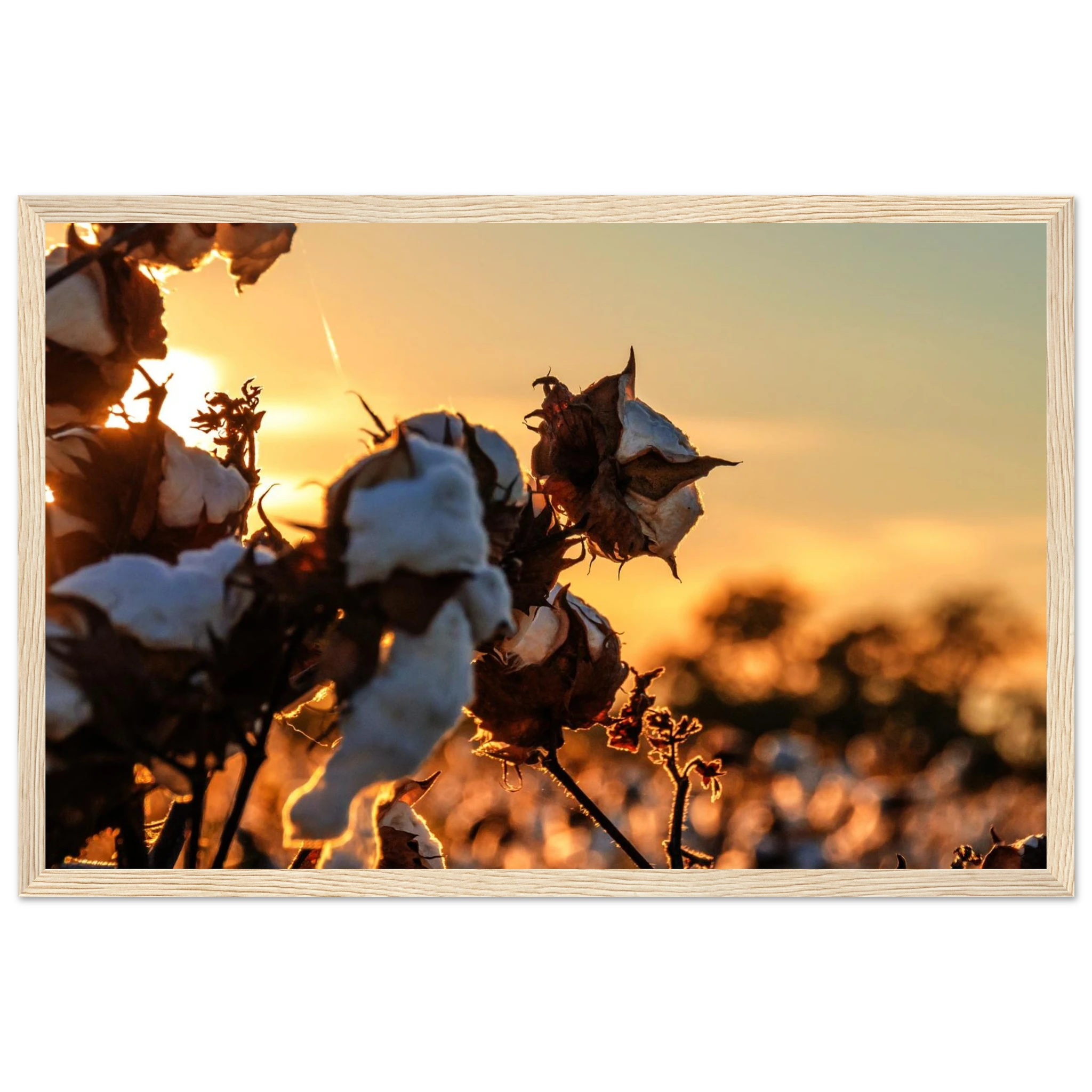 15473675-cbcd-4bcc-9efd-e48f1f5f75d1