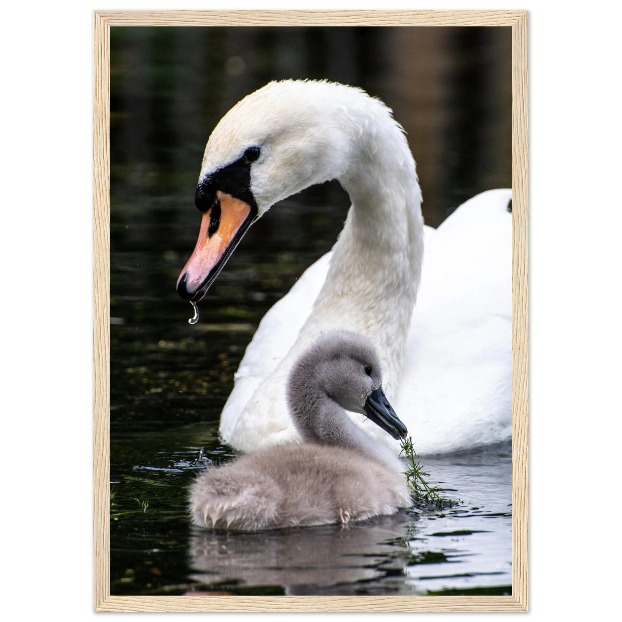 1547bd8e-c867-4cf5-89d9-eded41f149f0