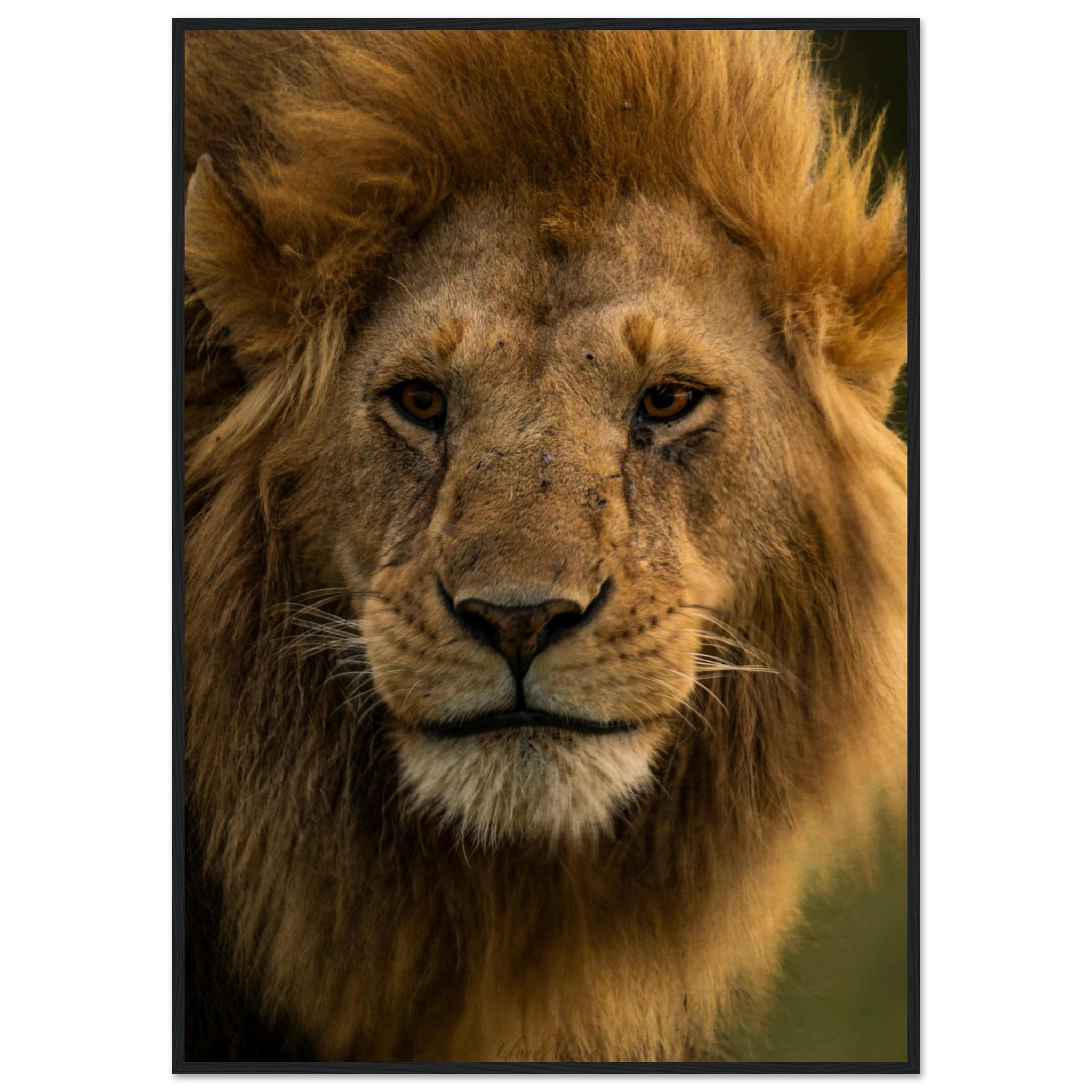 15545a69-edf1-4c25-ba90-d531febb23b5