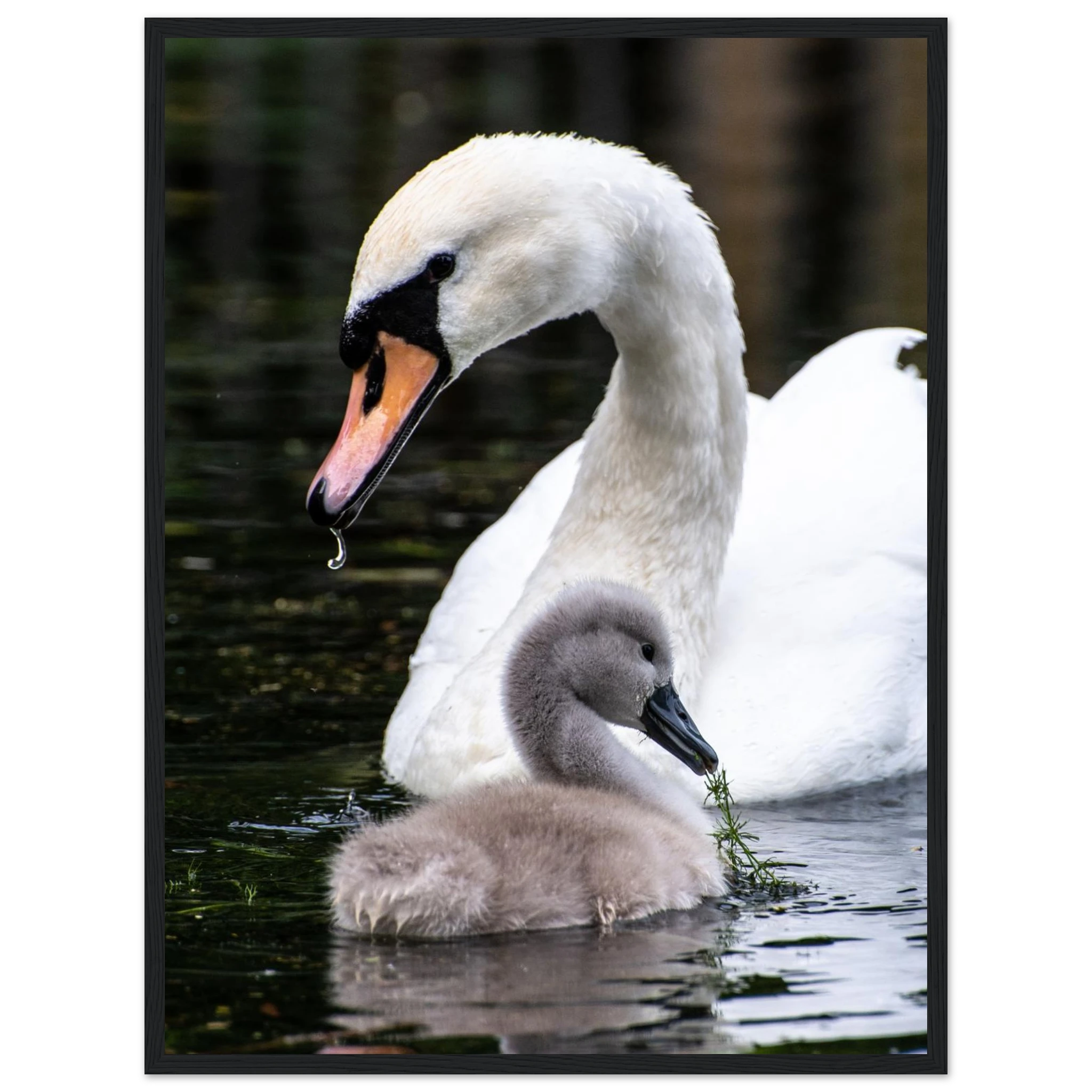 155fc29d-f271-4c21-b166-a40e7aff8bd5