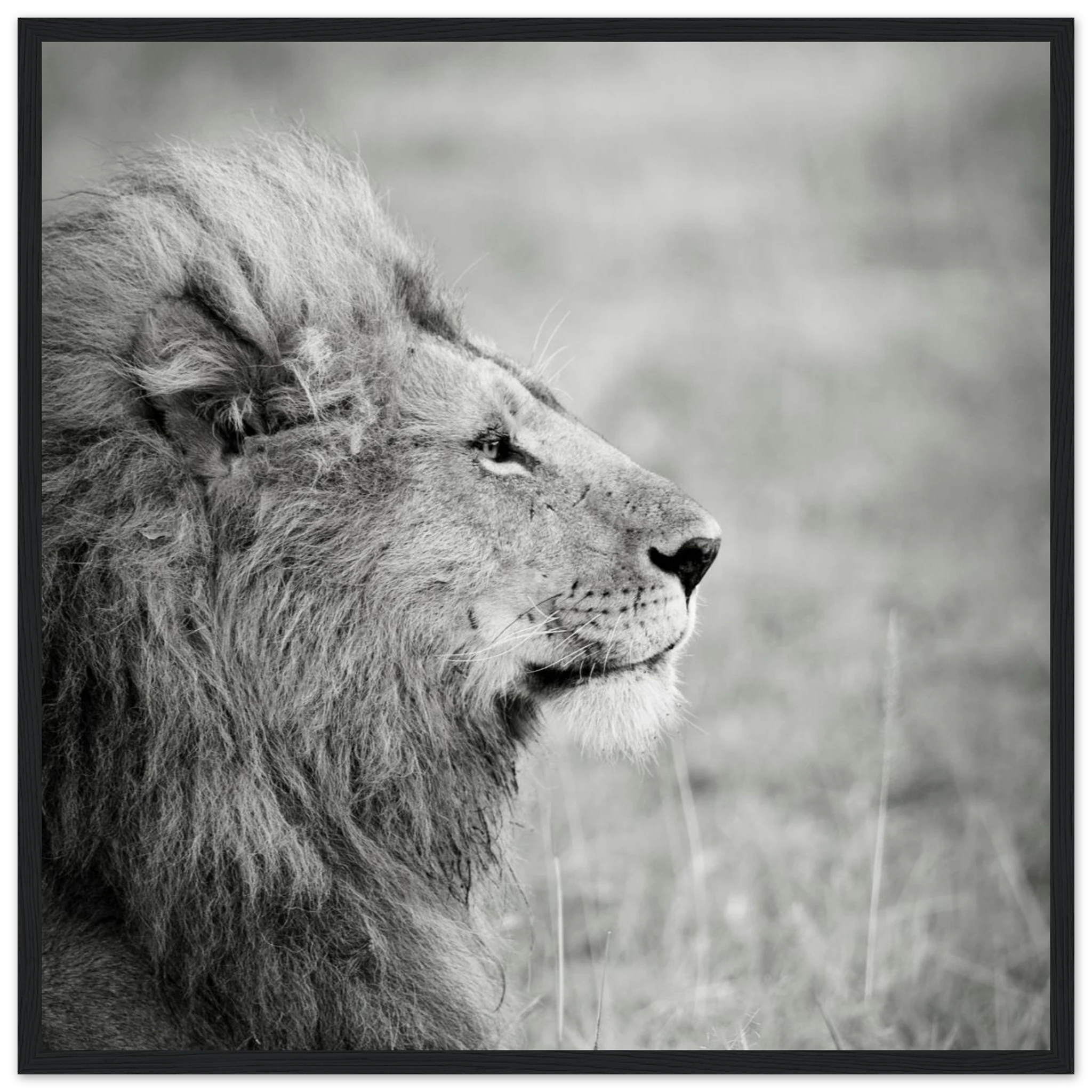 157a7c74-0f25-400e-bdad-8df898954c6c