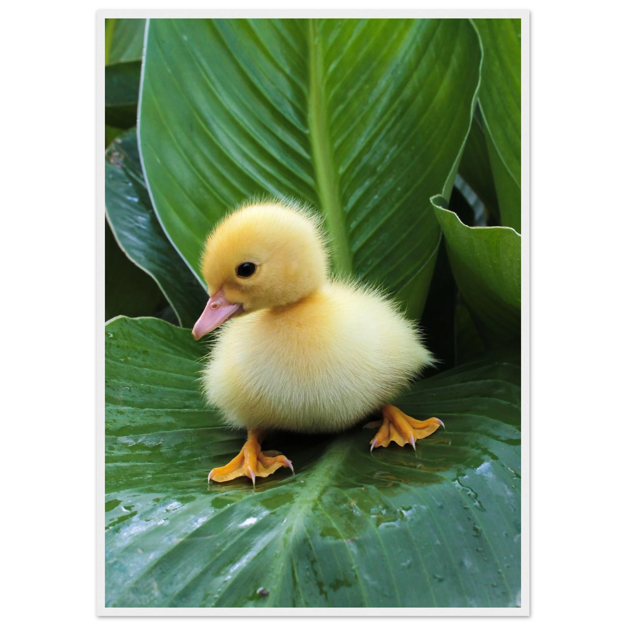 158fffdb-5444-4cb0-8be0-0f0d9d2bbc72